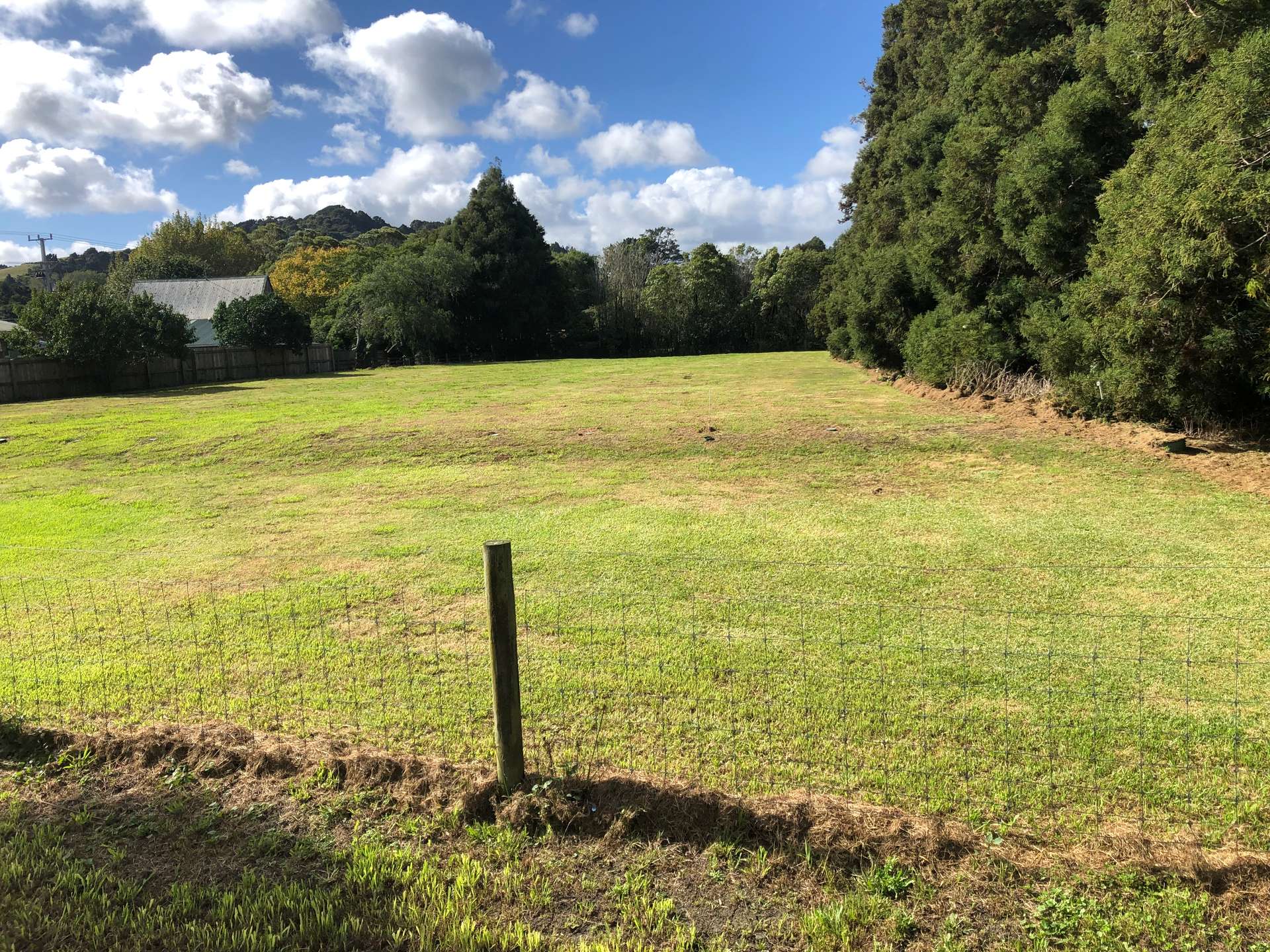 970 Kahikatea Flat Road photo 11