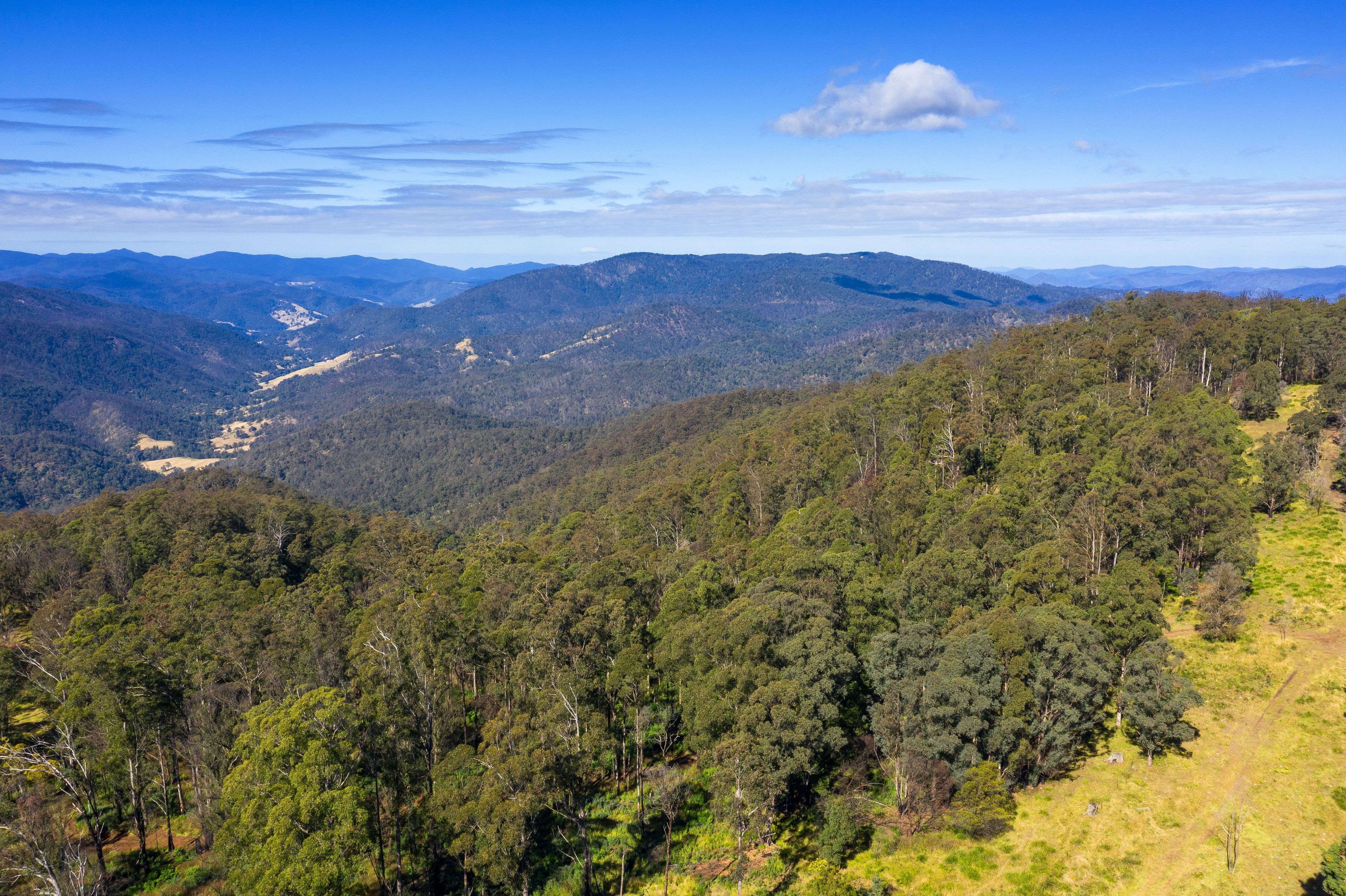 Lot 78 McPhersons Country Estate, Enfield Range Road, Cells River, NSW