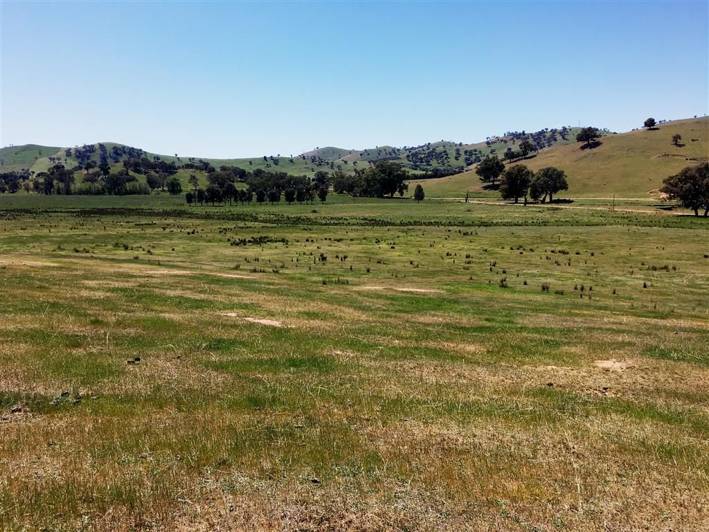 Lot 5 Readfords Road, Gundagai, NSW 2722