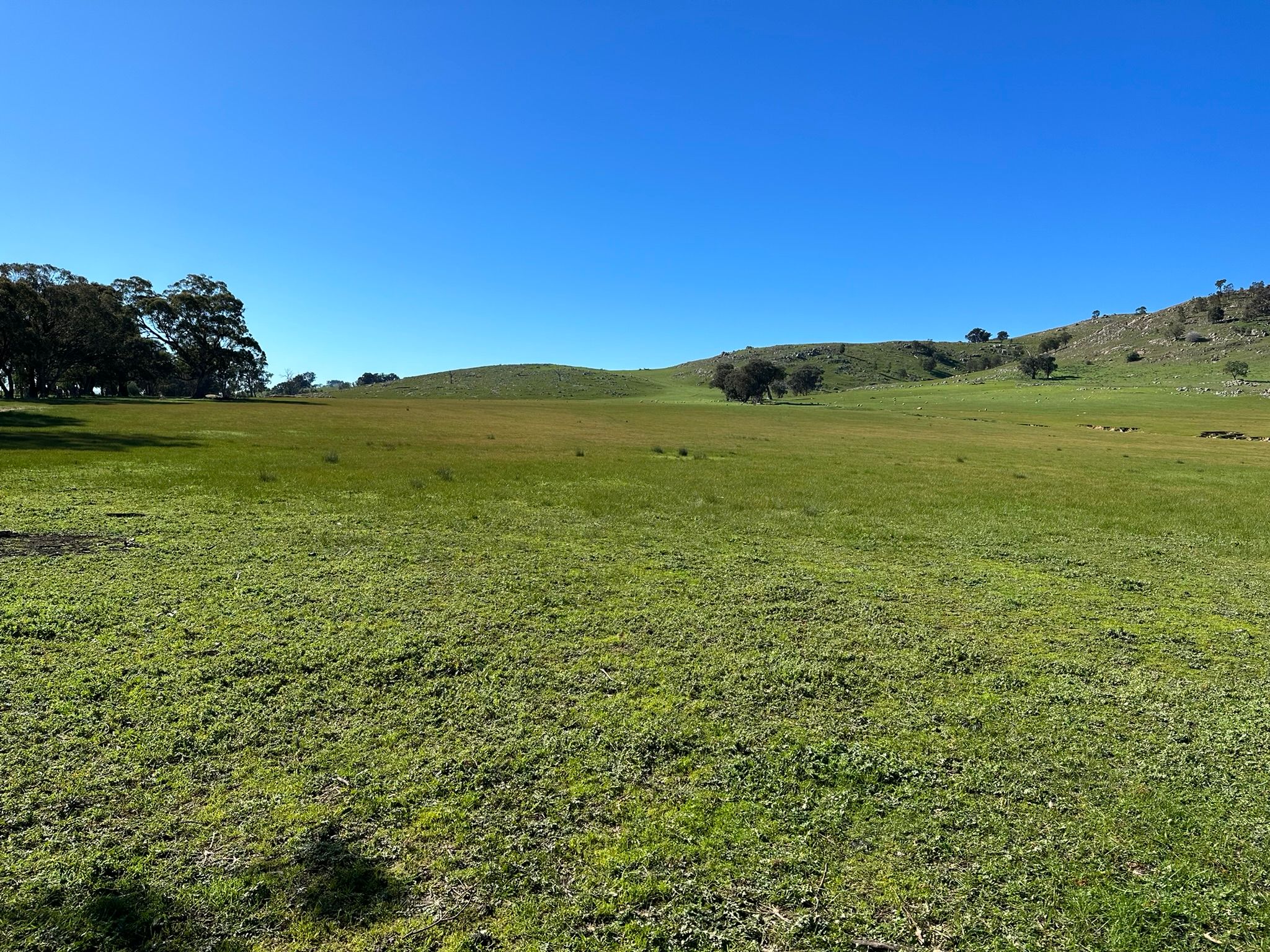 Corner of Horse Gully Road and Balmattum Road — photo 4 of 8