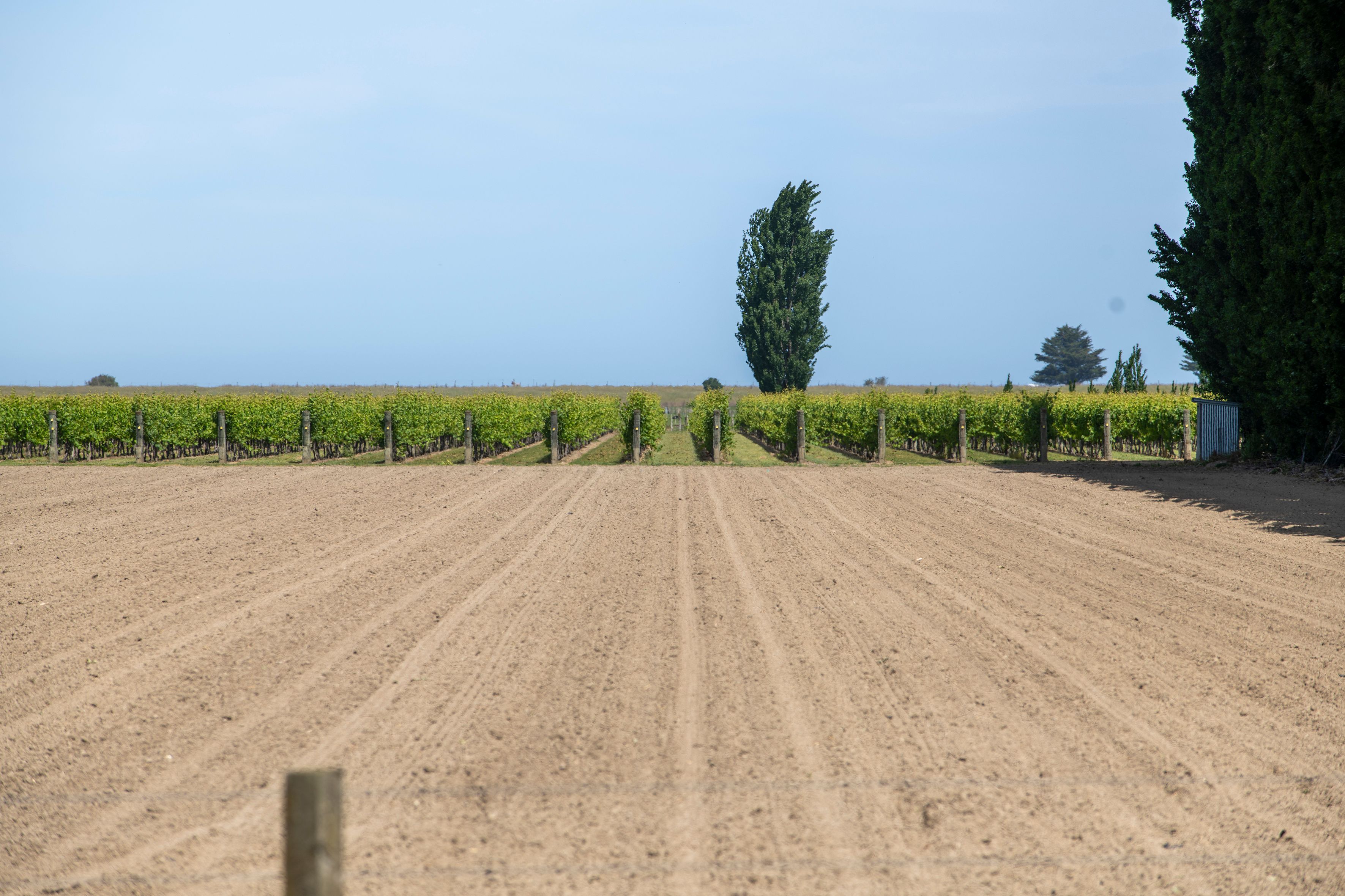 Lot 1 Dunstan Road, Matawhero, Gisborne District