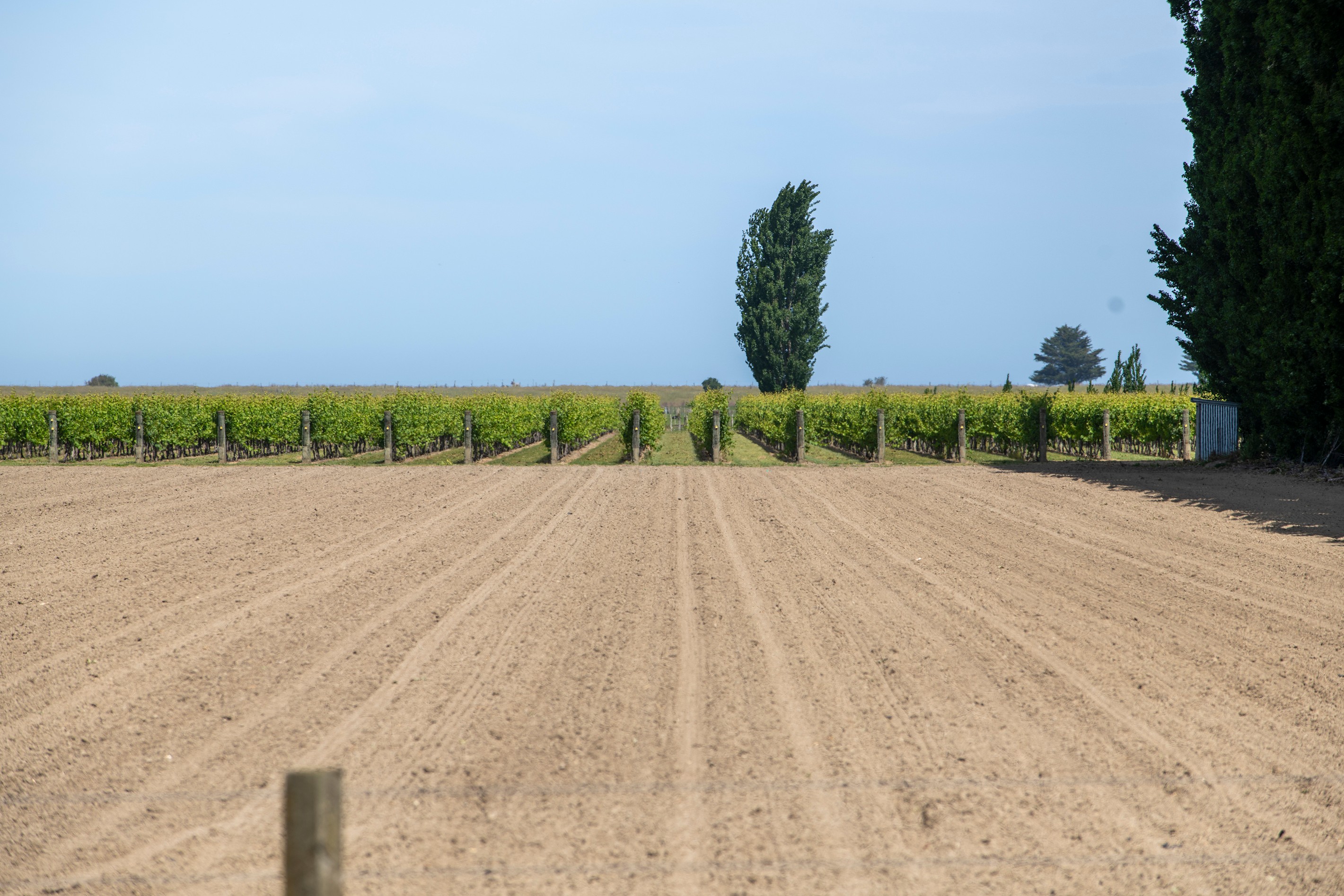 Lot 1 Dunstan Road, Matawhero, Gisborne District