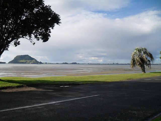 Matua, Tauranga City