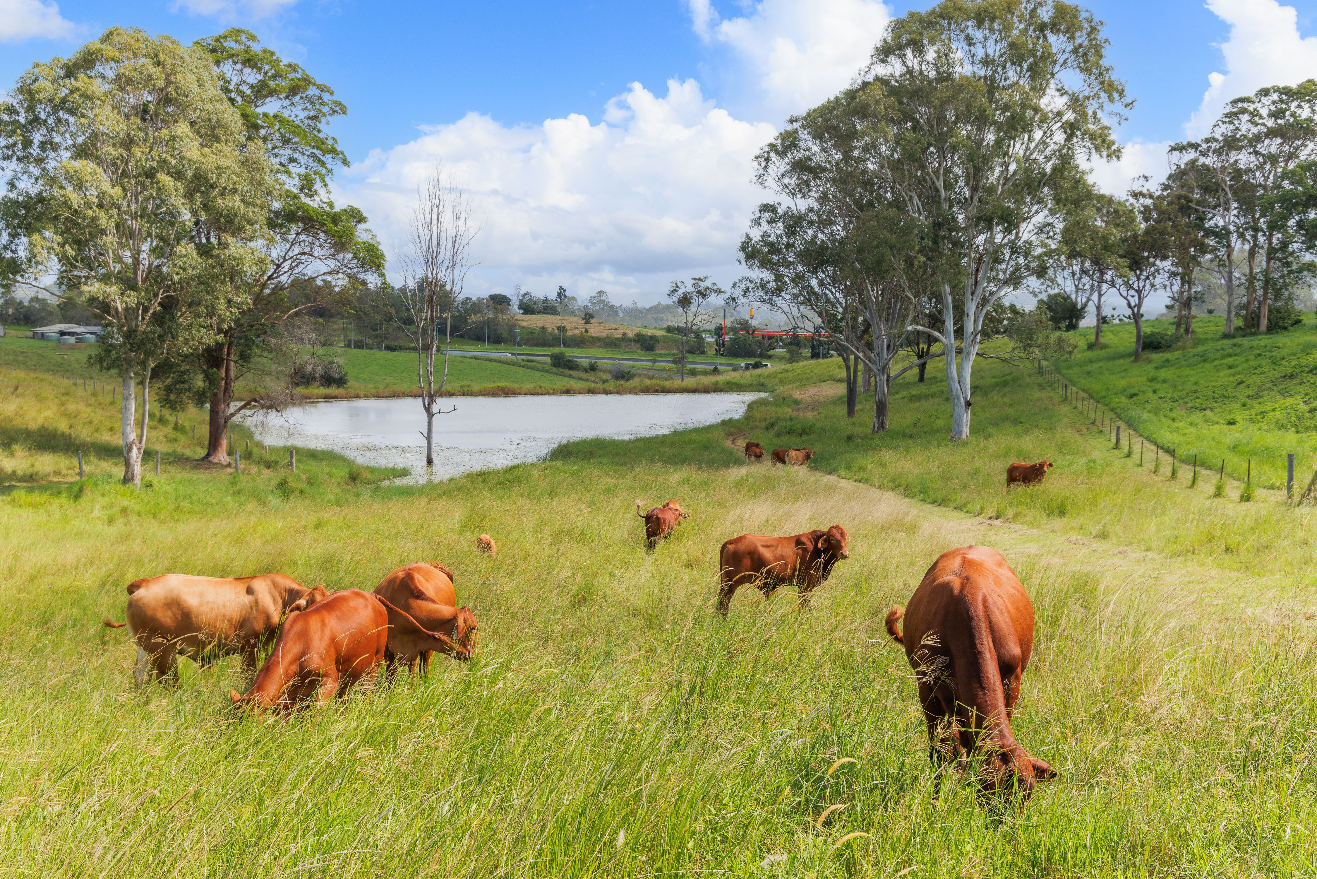 Traveston, QLD 4570