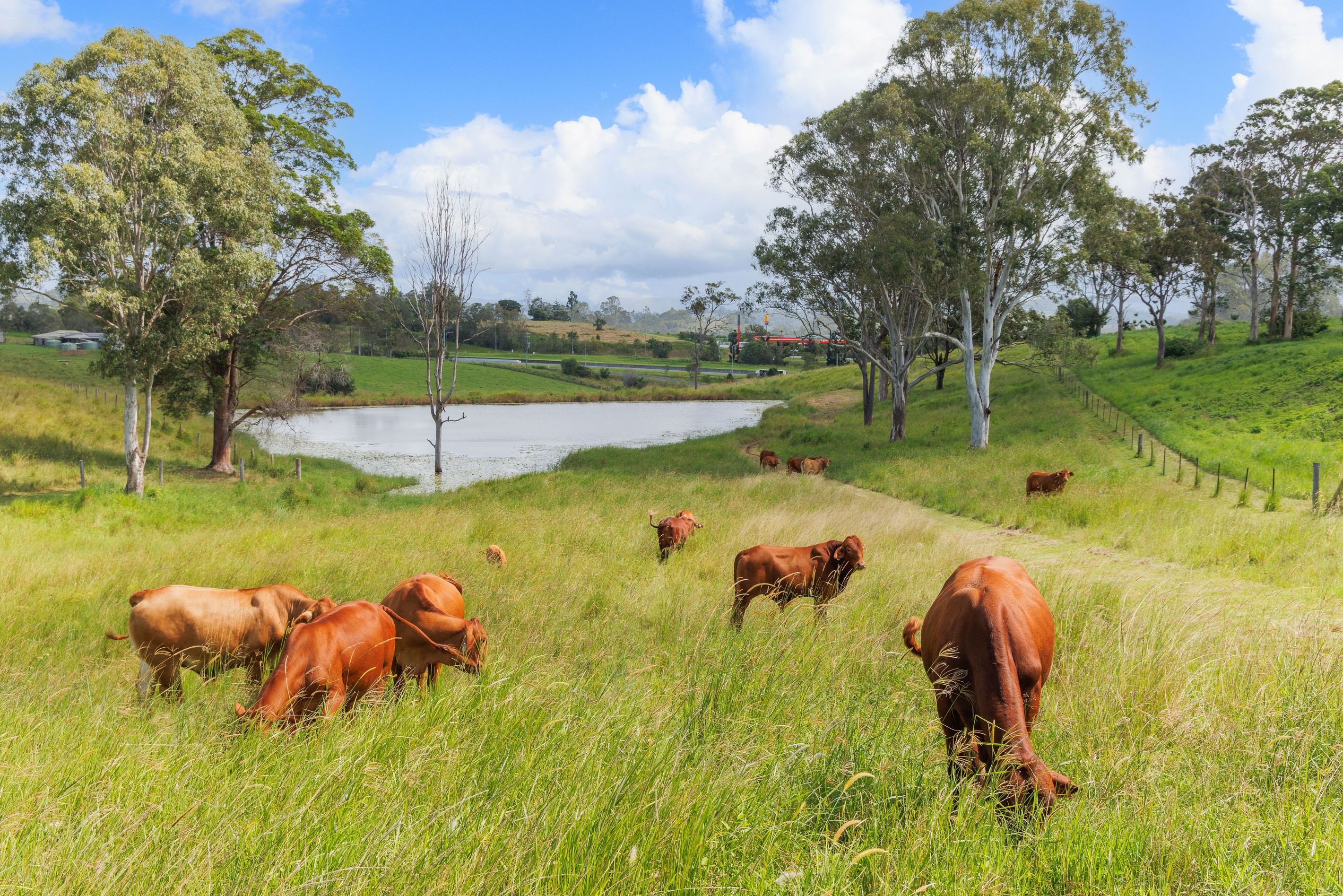 Traveston, QLD 4570