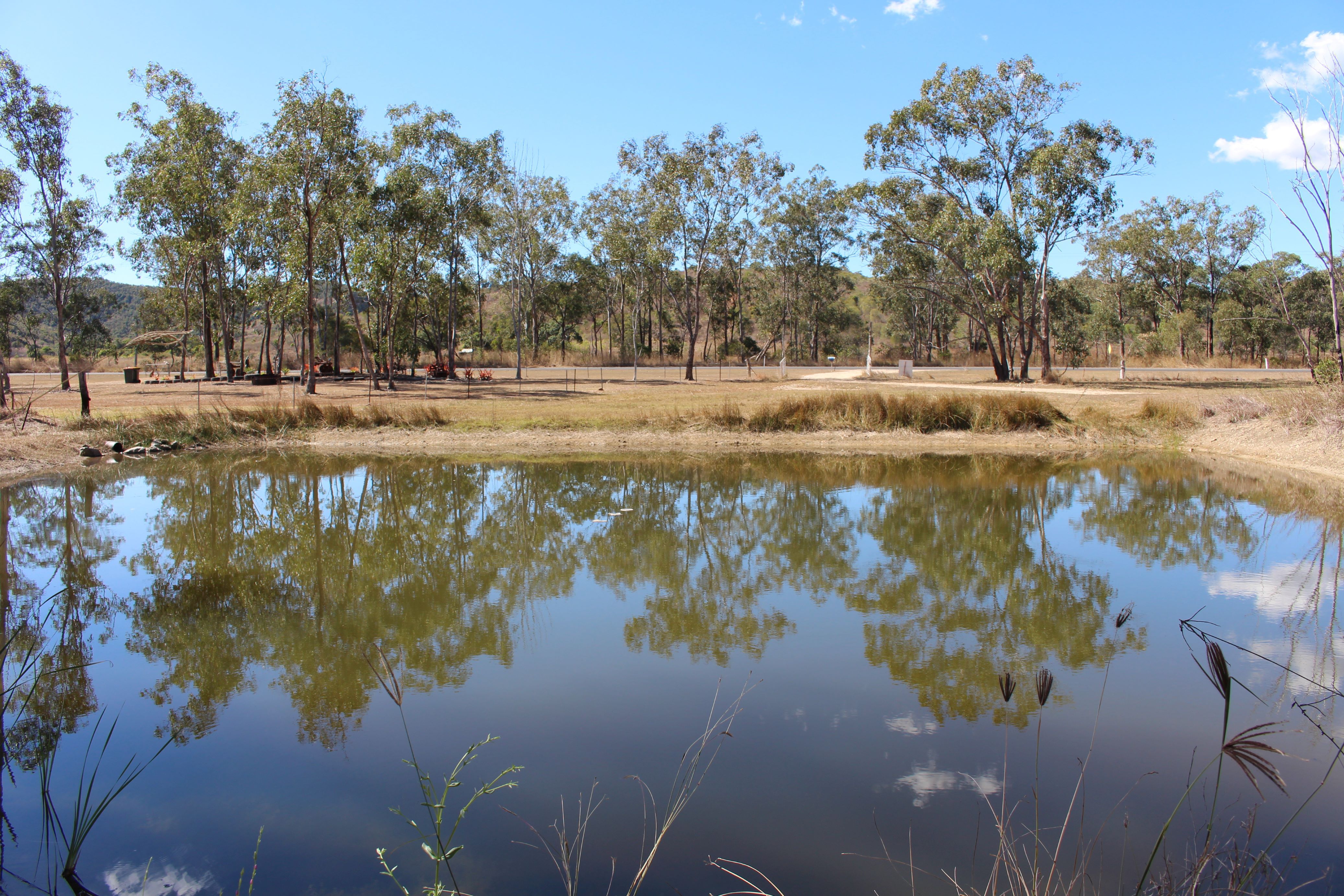 405 Darts Creek Road, Darts Creek, QLD 4695