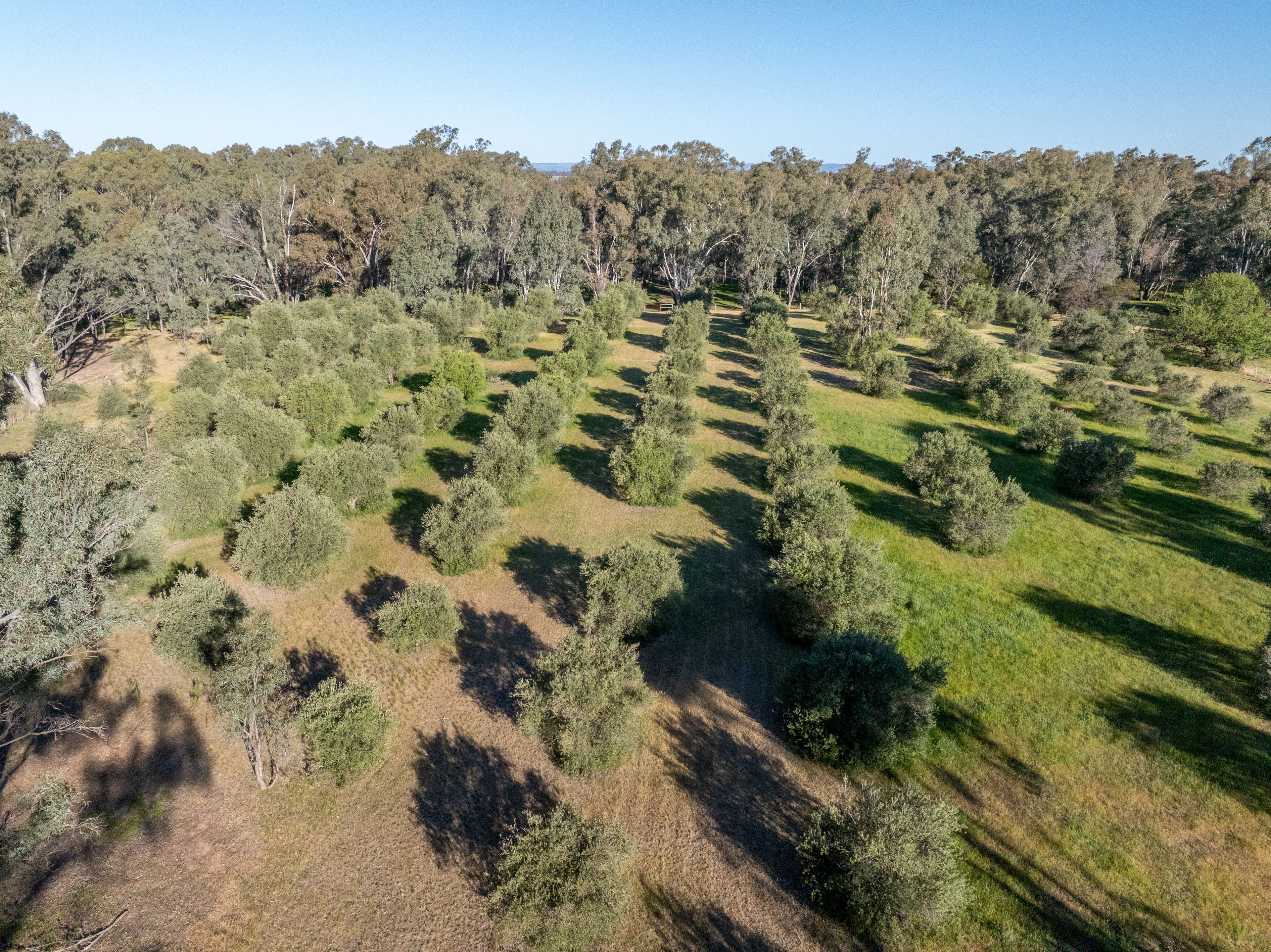 LOT 2/121 WATTLEVALE Road — photo 11 of 24