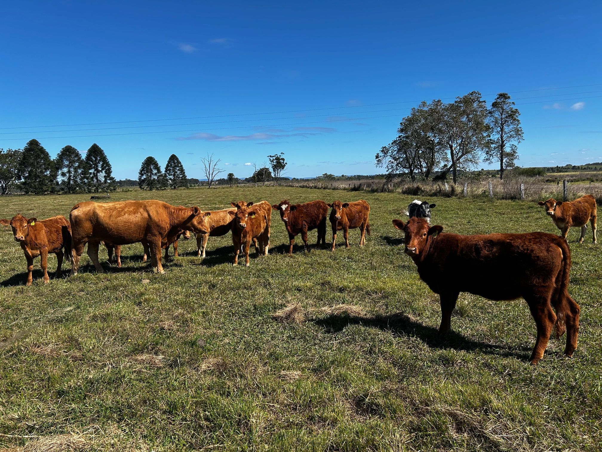 97 Naughtons Gap Road — photo 15 of 17