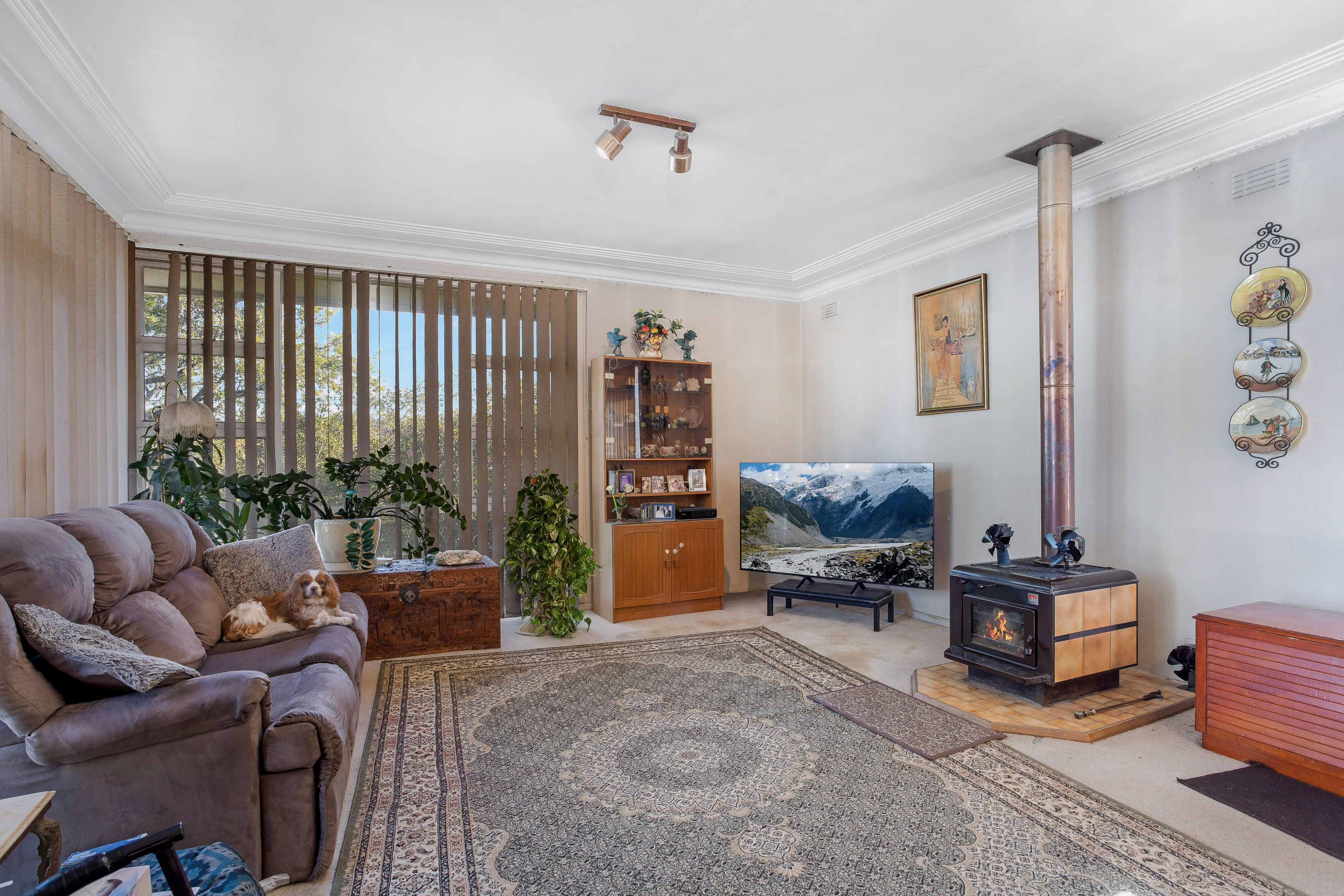 133 Hector Street, Sefton, NSW 2162