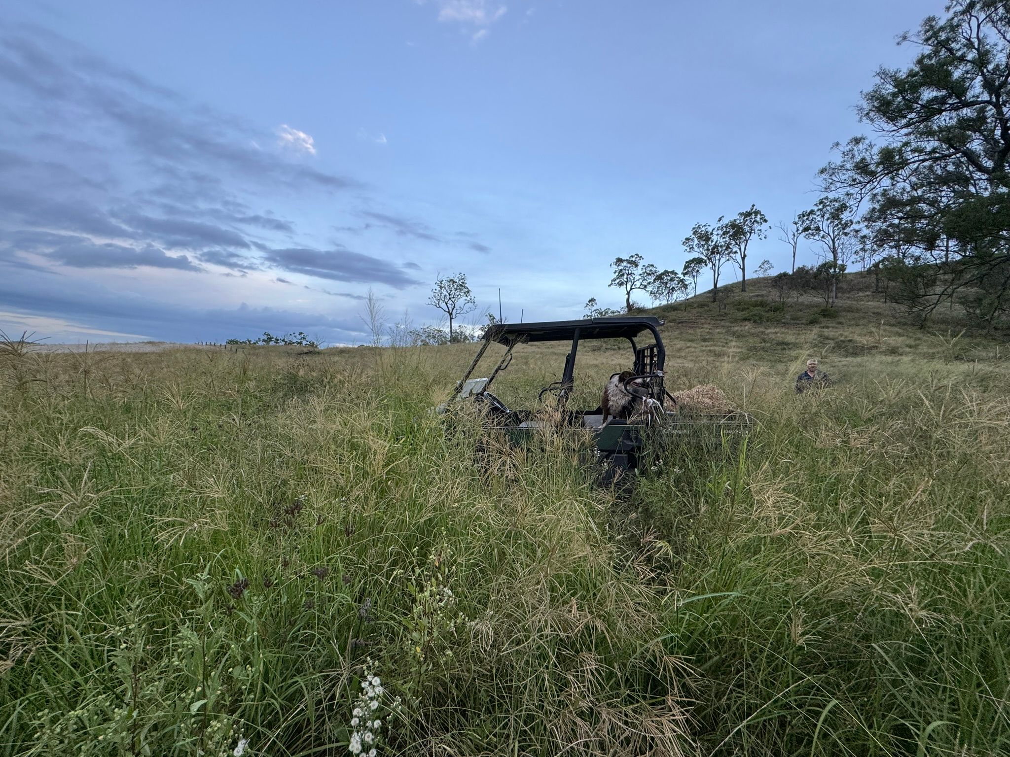 105 Schultz Road, Coalbank, QLD 4352