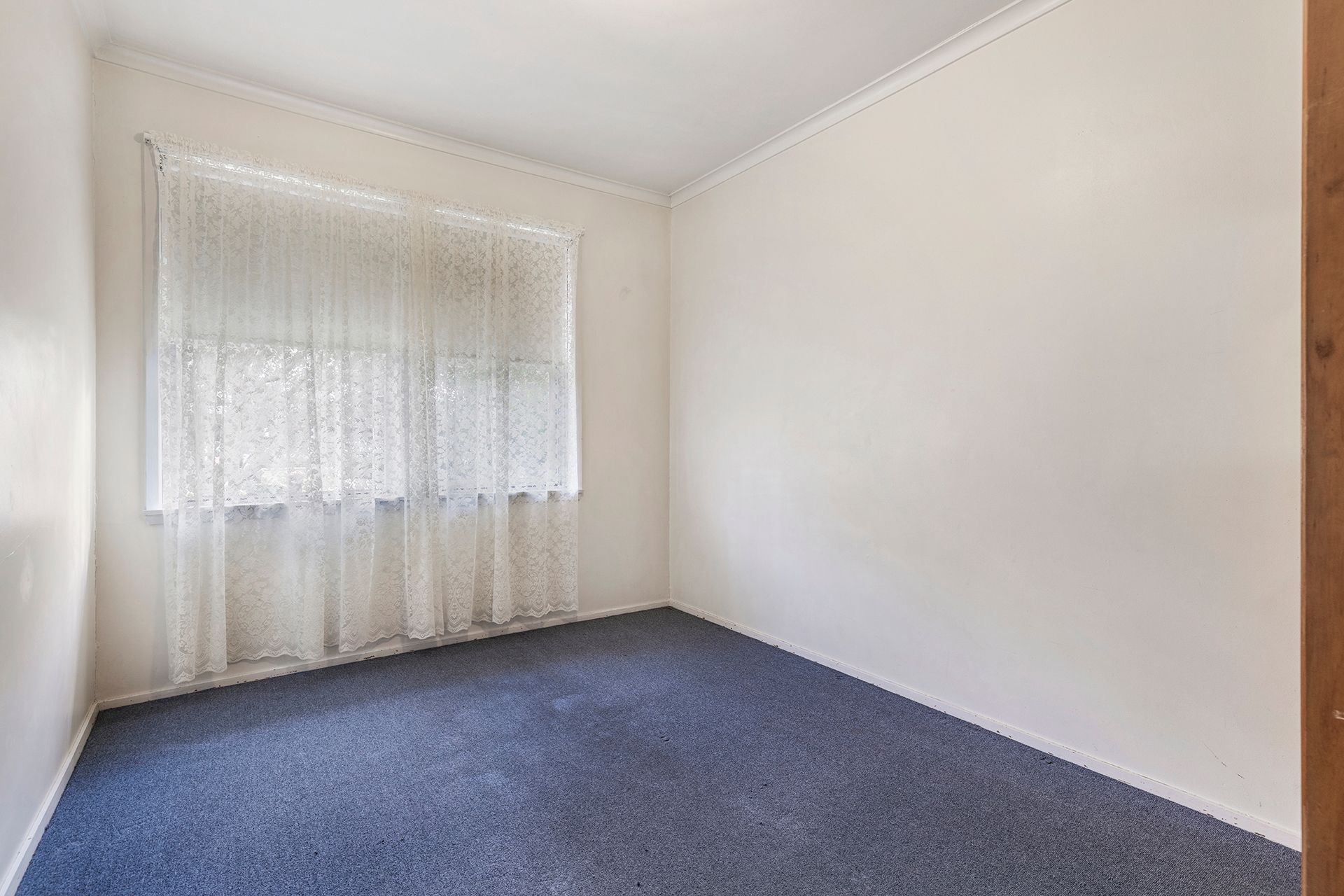 11 Freeman Street — photo 6 of 17