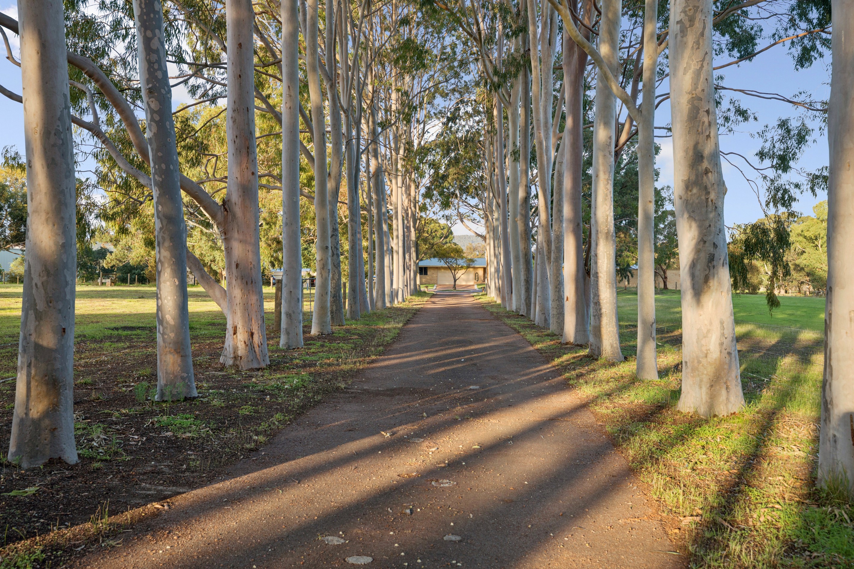 39 Kings Row, Baskerville, WA 6056