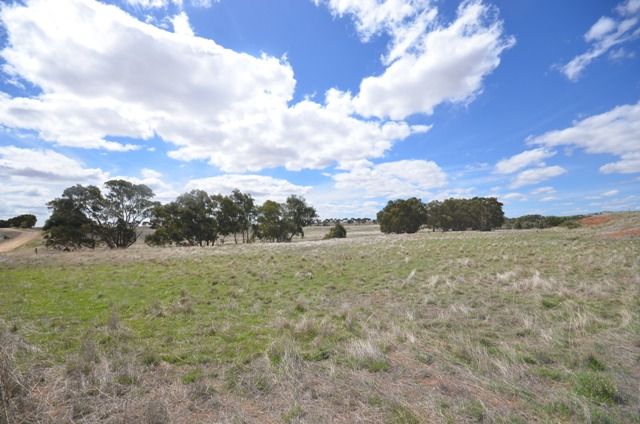 "Braeside" Tarcowie Road, Appila, SA 5480