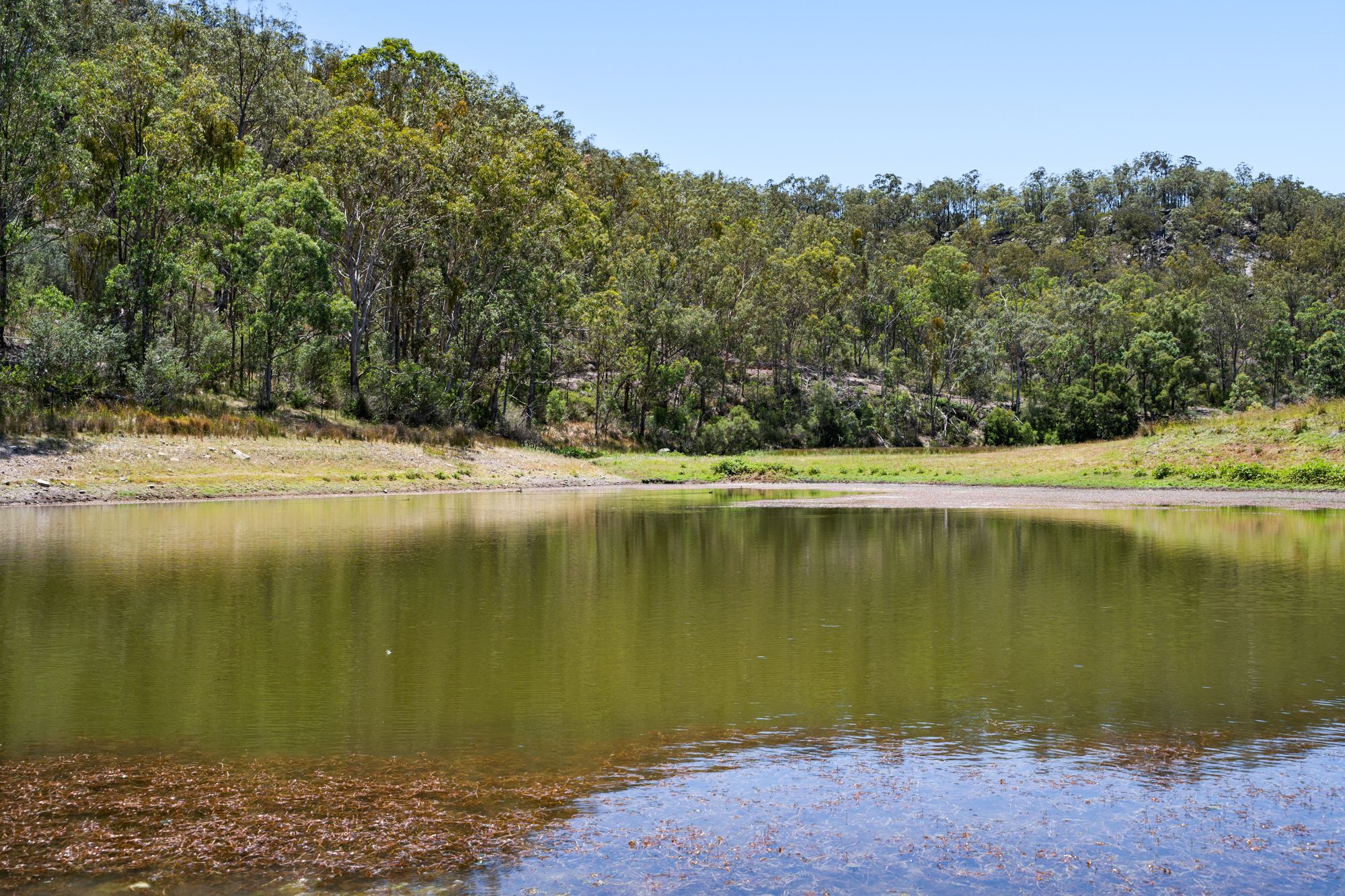 374 Voll Road, Crows Nest, QLD 4355