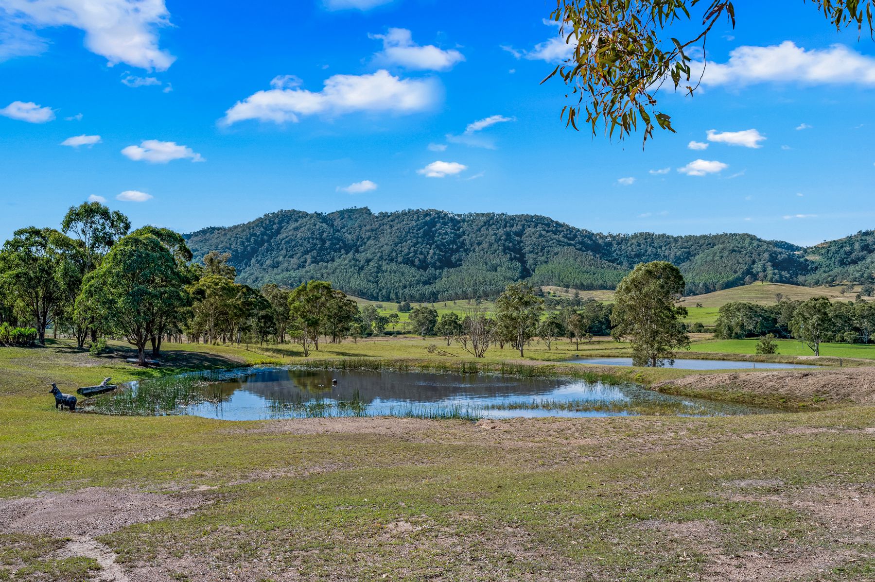 157 Jacks Road, Gloucester, NSW 2422
