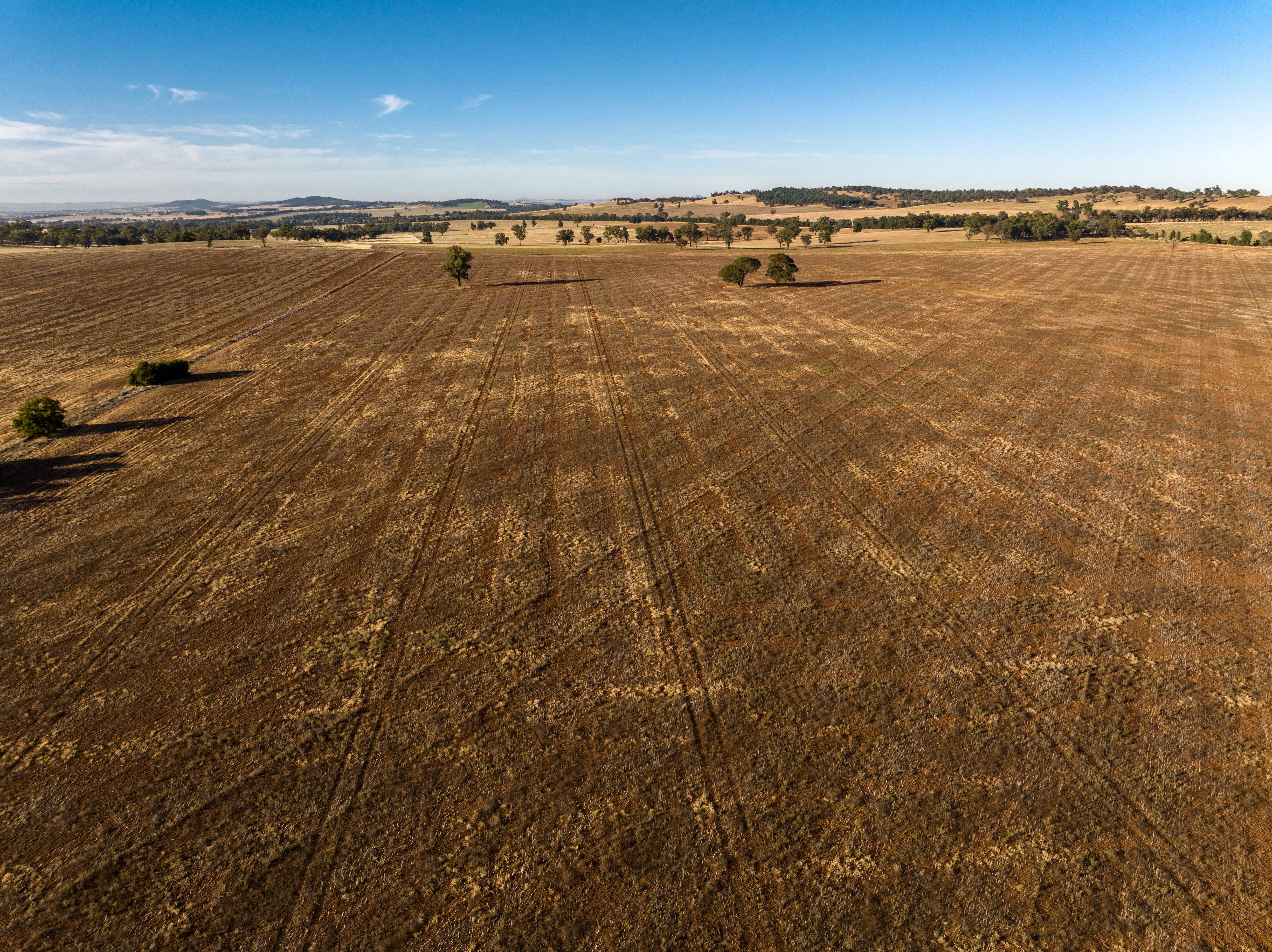 2204 Tooyal Road, Coolamon NSW 2701