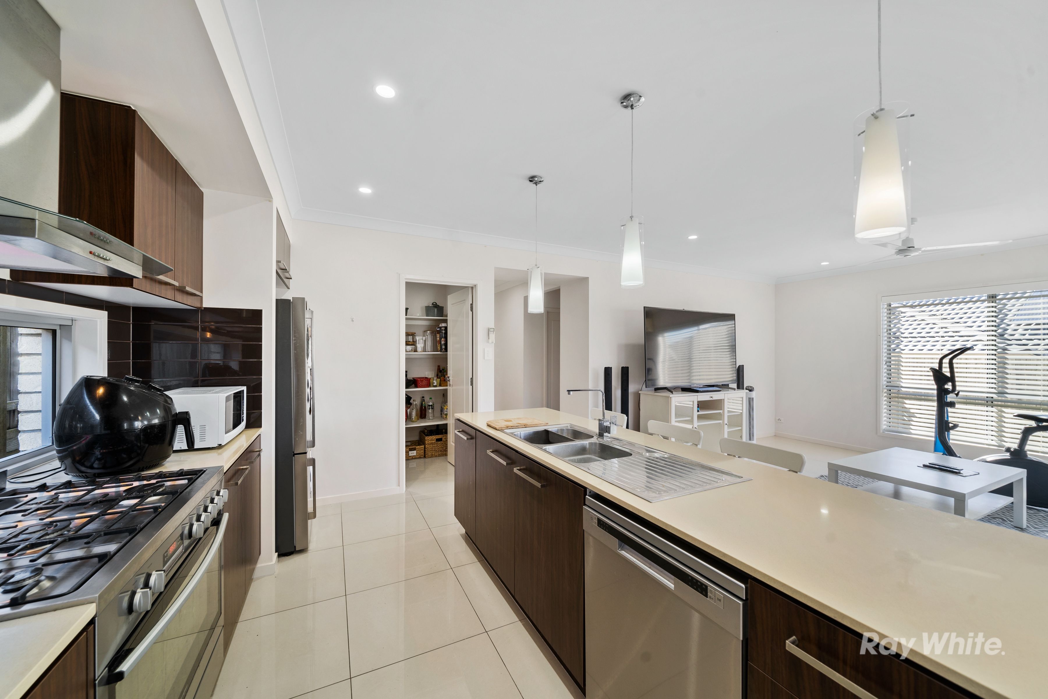 28 Grindelia Drive, Springfield Lakes, QLD 4300