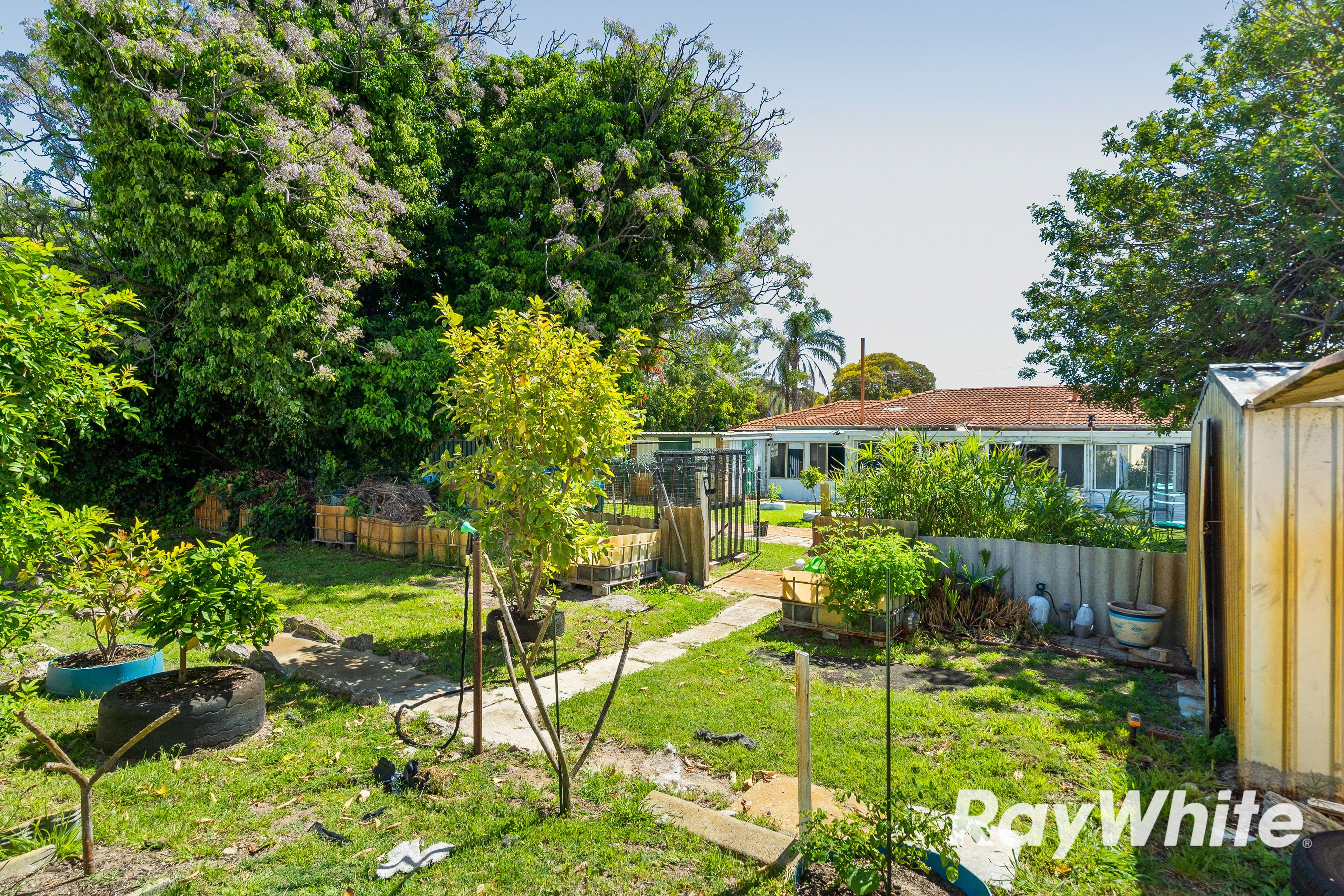 11 Myerick Street — photo 9 of 10