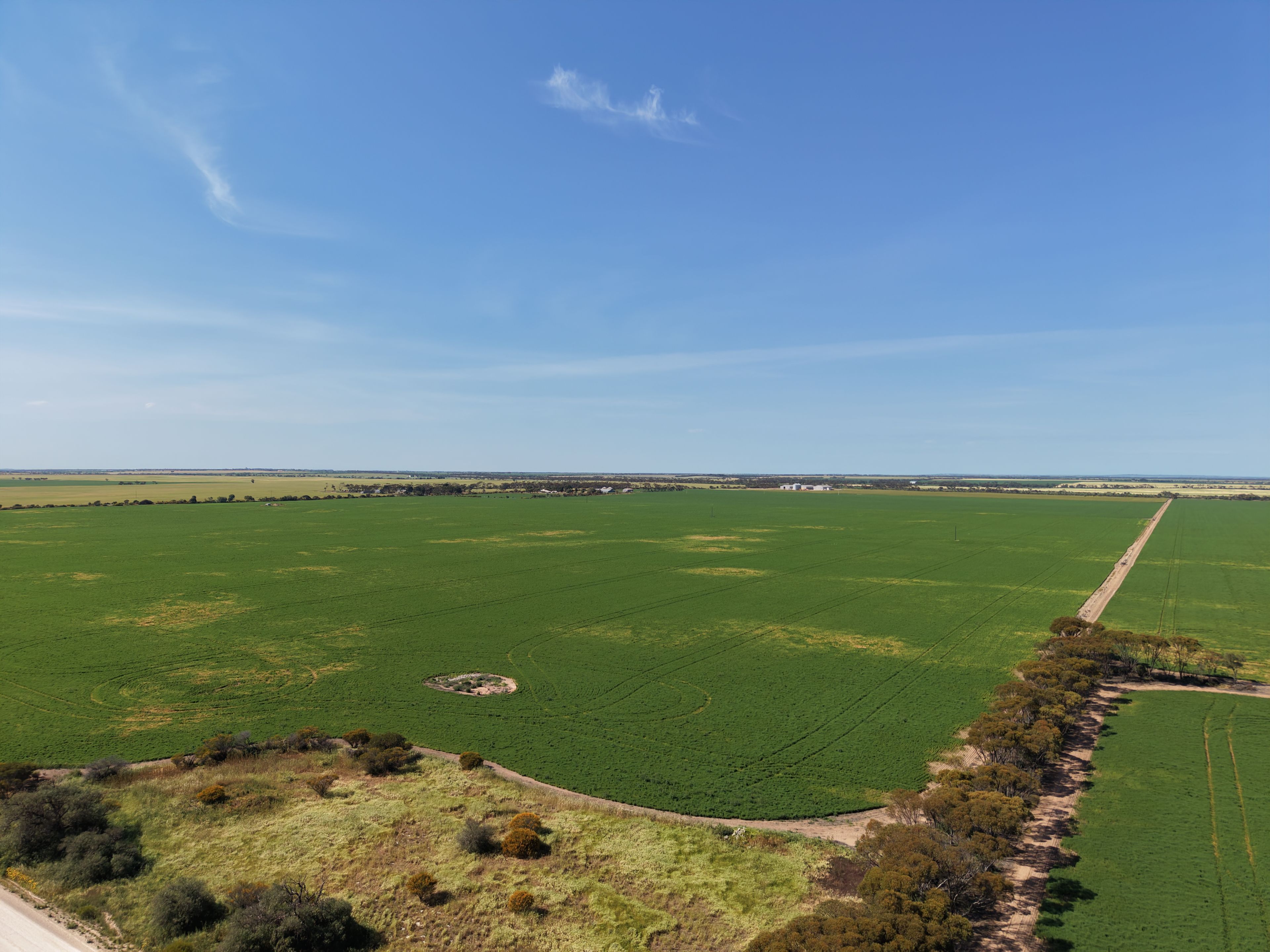 Section 239 Beare Road, Kadina, SA 5554