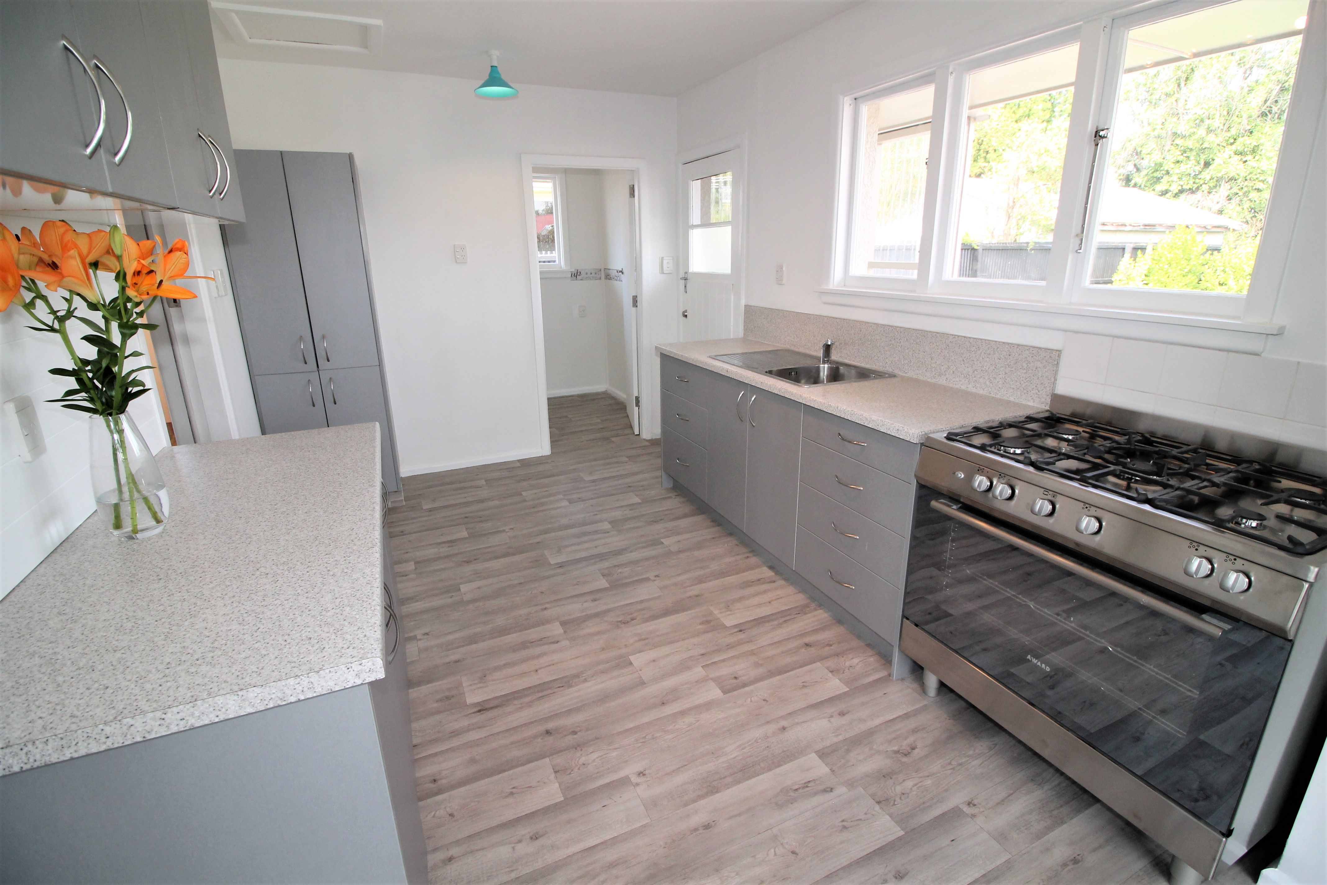 20 Donegal Street, Belfast, Christchurch City