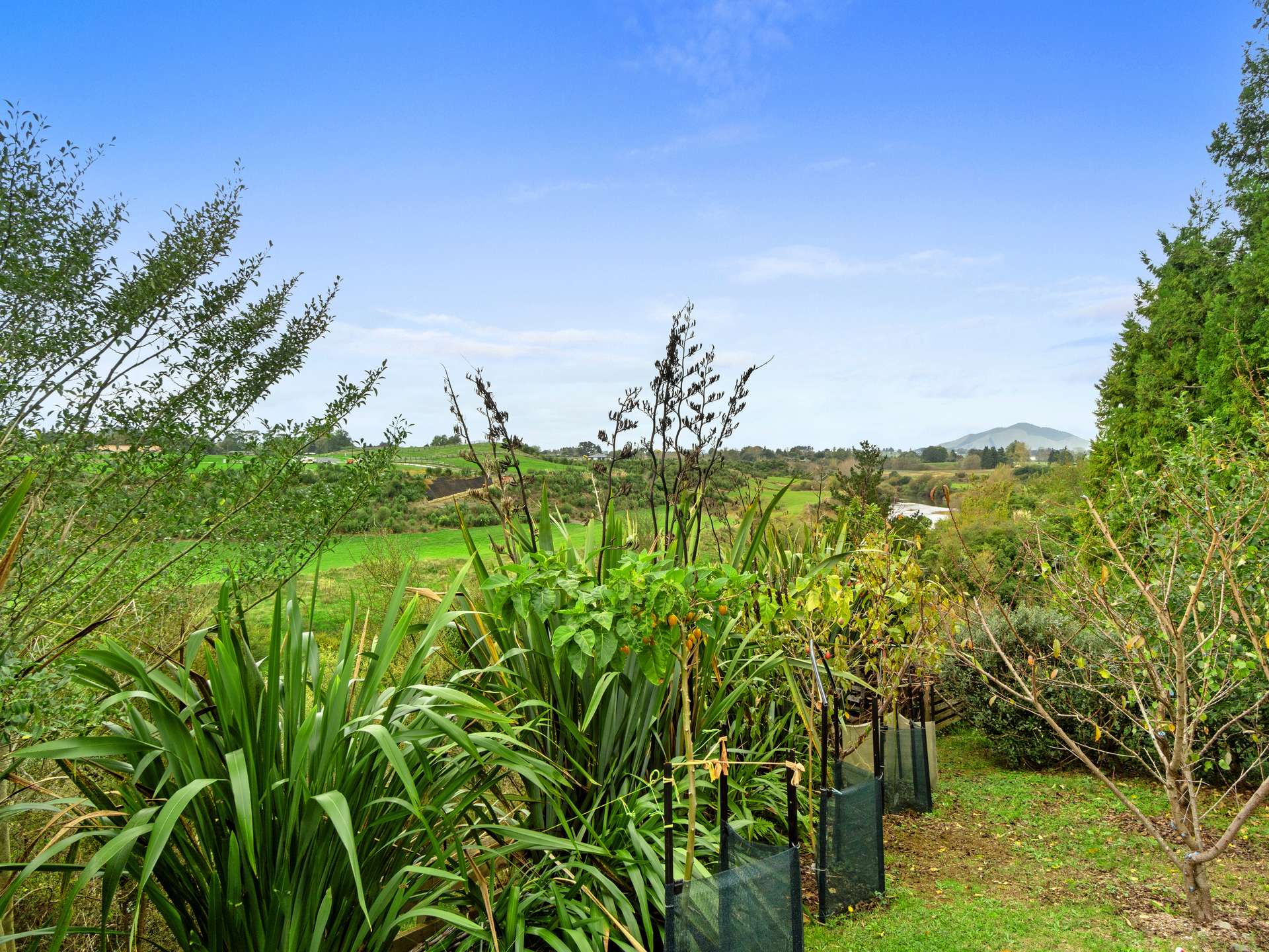 182 Mangauika Road photo 22