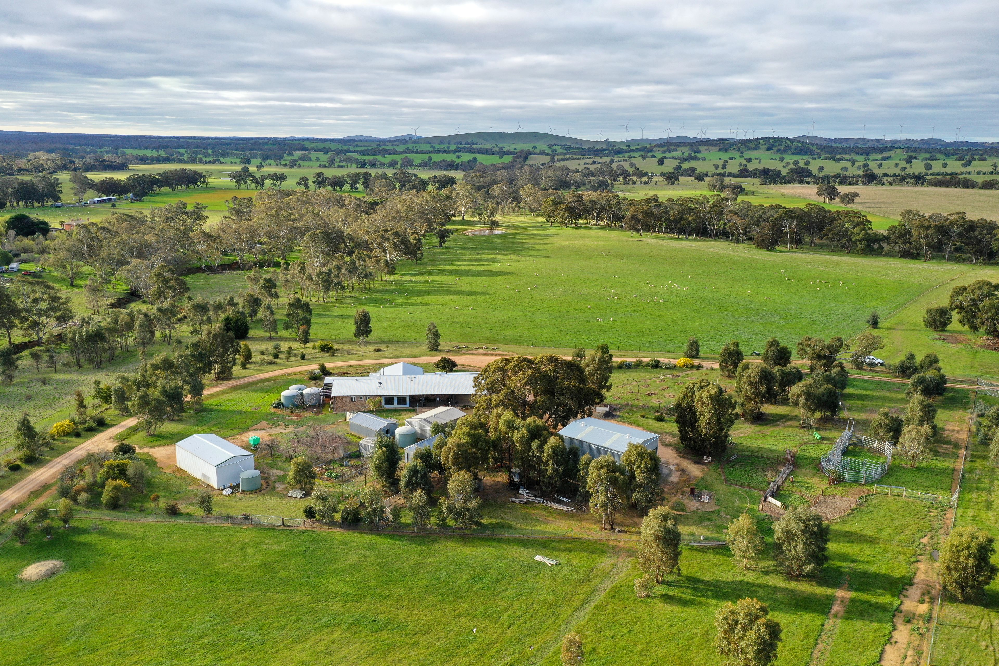 Ray White Rural Victoria
