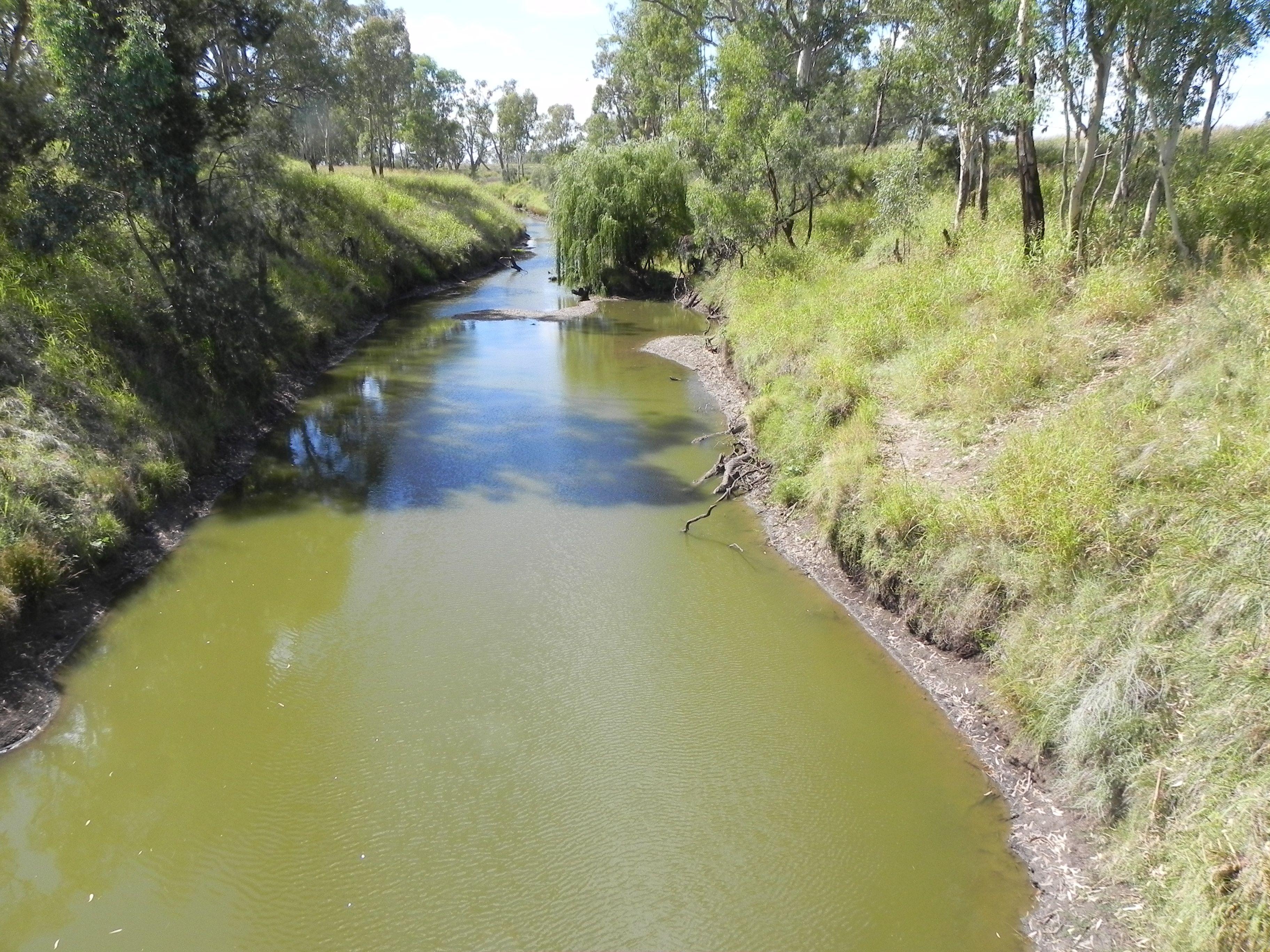 1663 Millmerran Leyburn Road, Tummaville, QLD 4352
