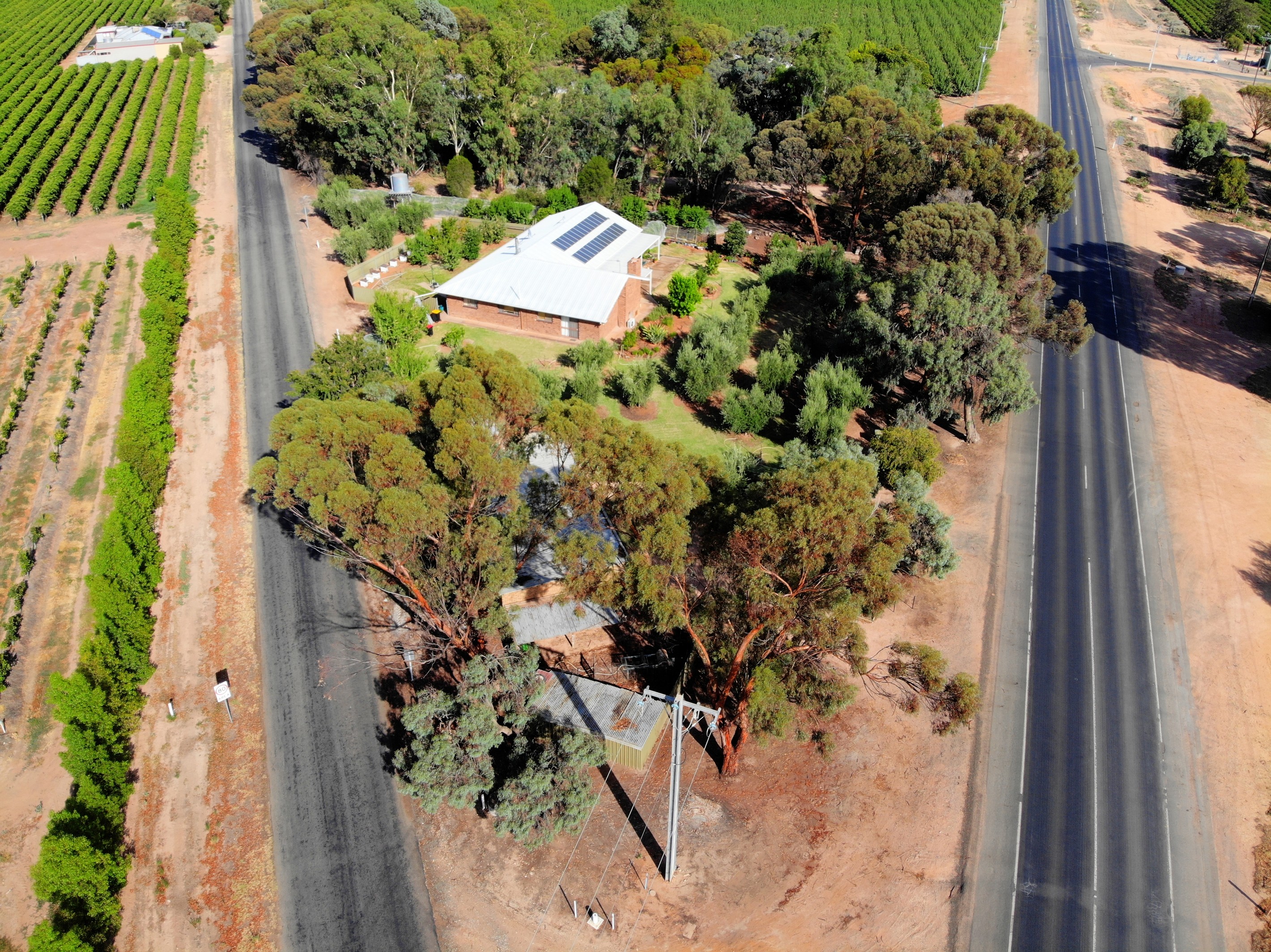379 Ral Ral Avenue, Renmark, SA 5341