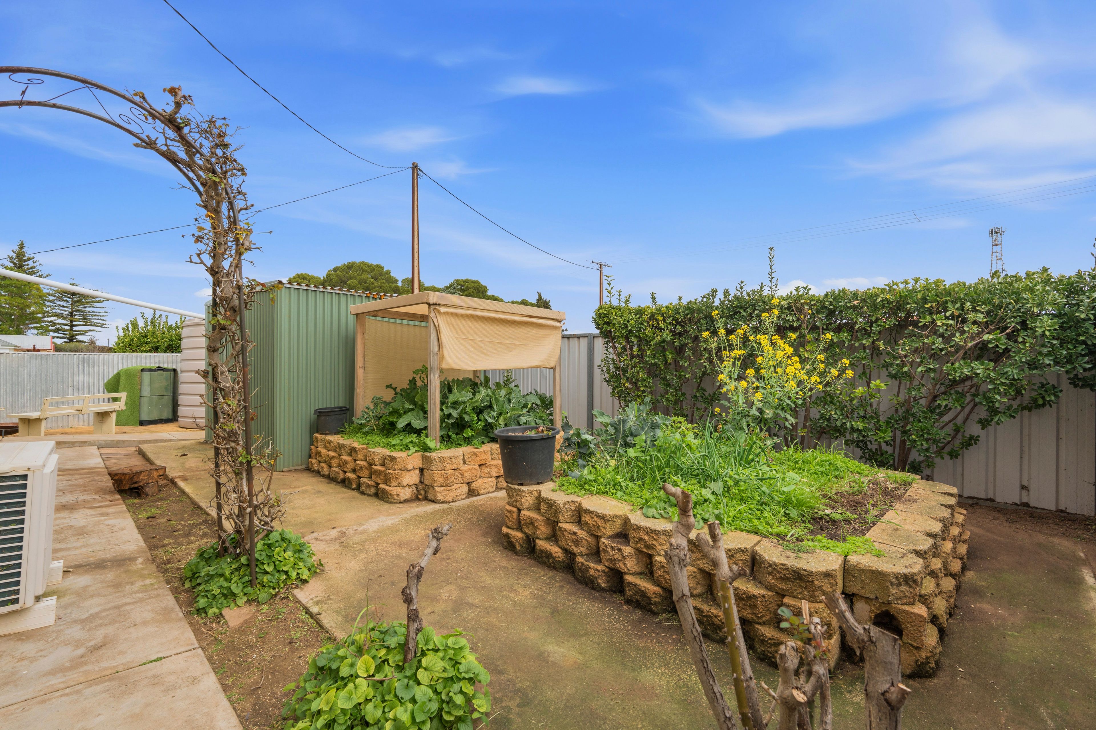 24 Forster Street — photo 22 of 26