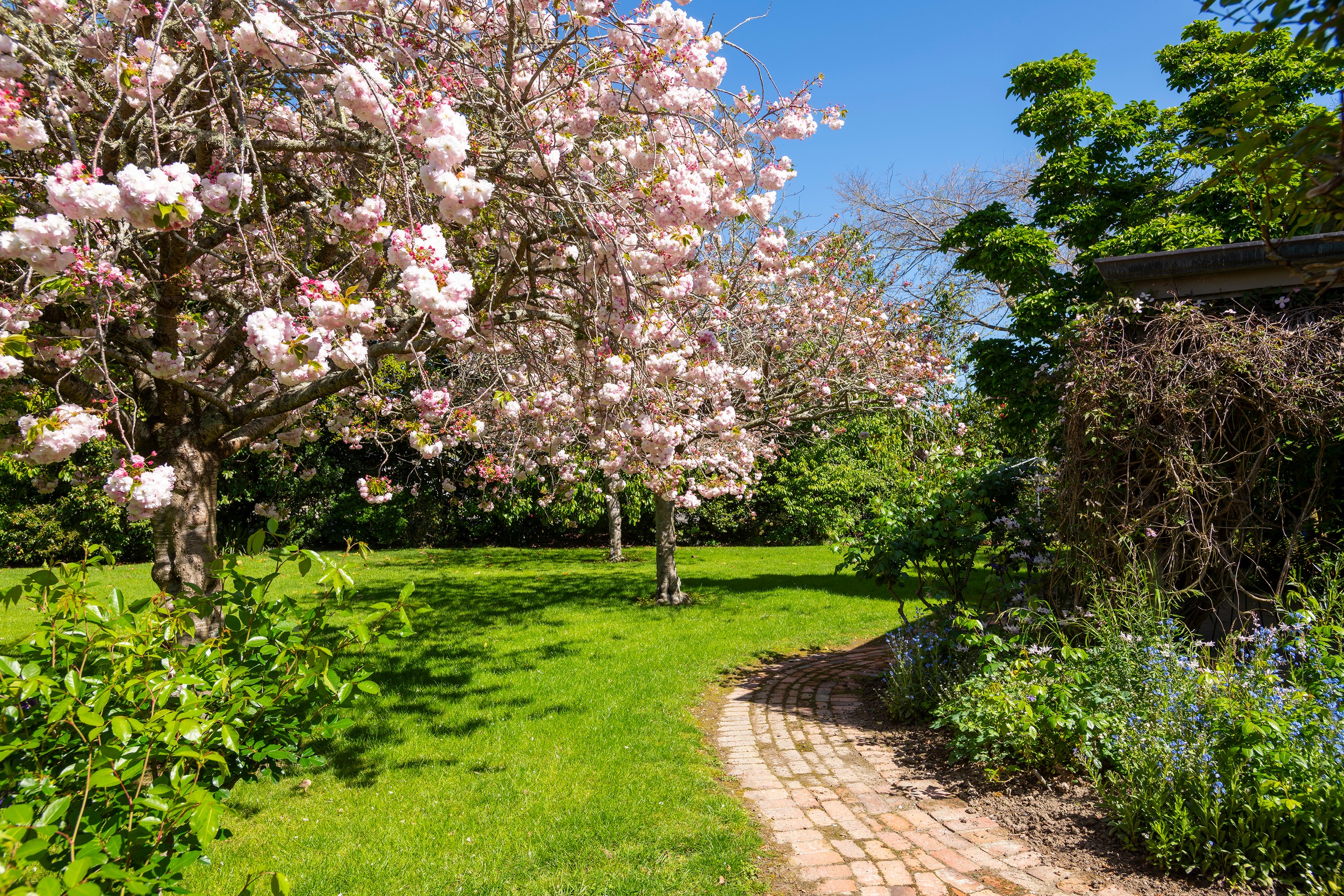 374 Papatu Road, Manutuke, Gisborne District