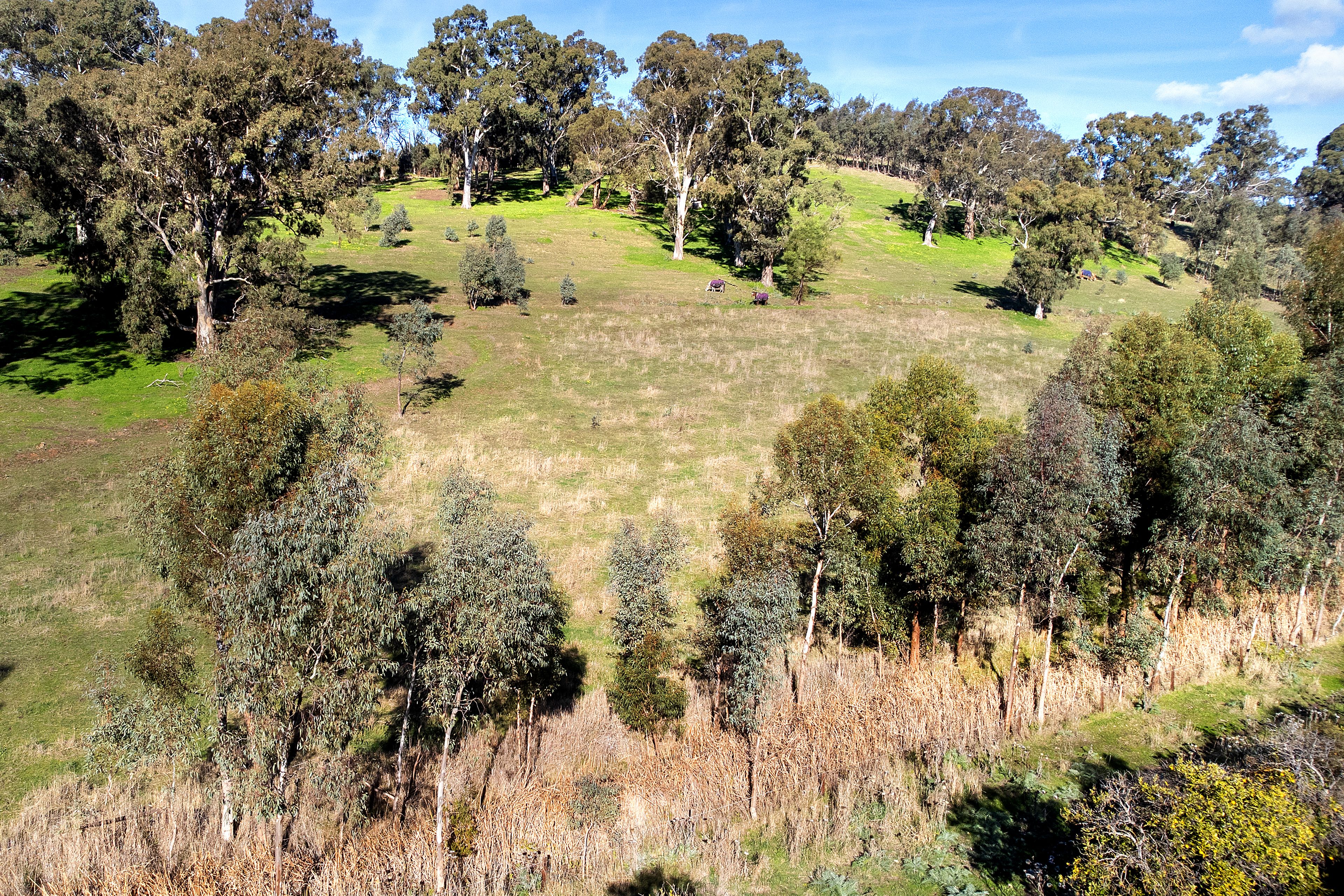 Lot 3 Warner Road, Upper Hermitage, SA 5131
