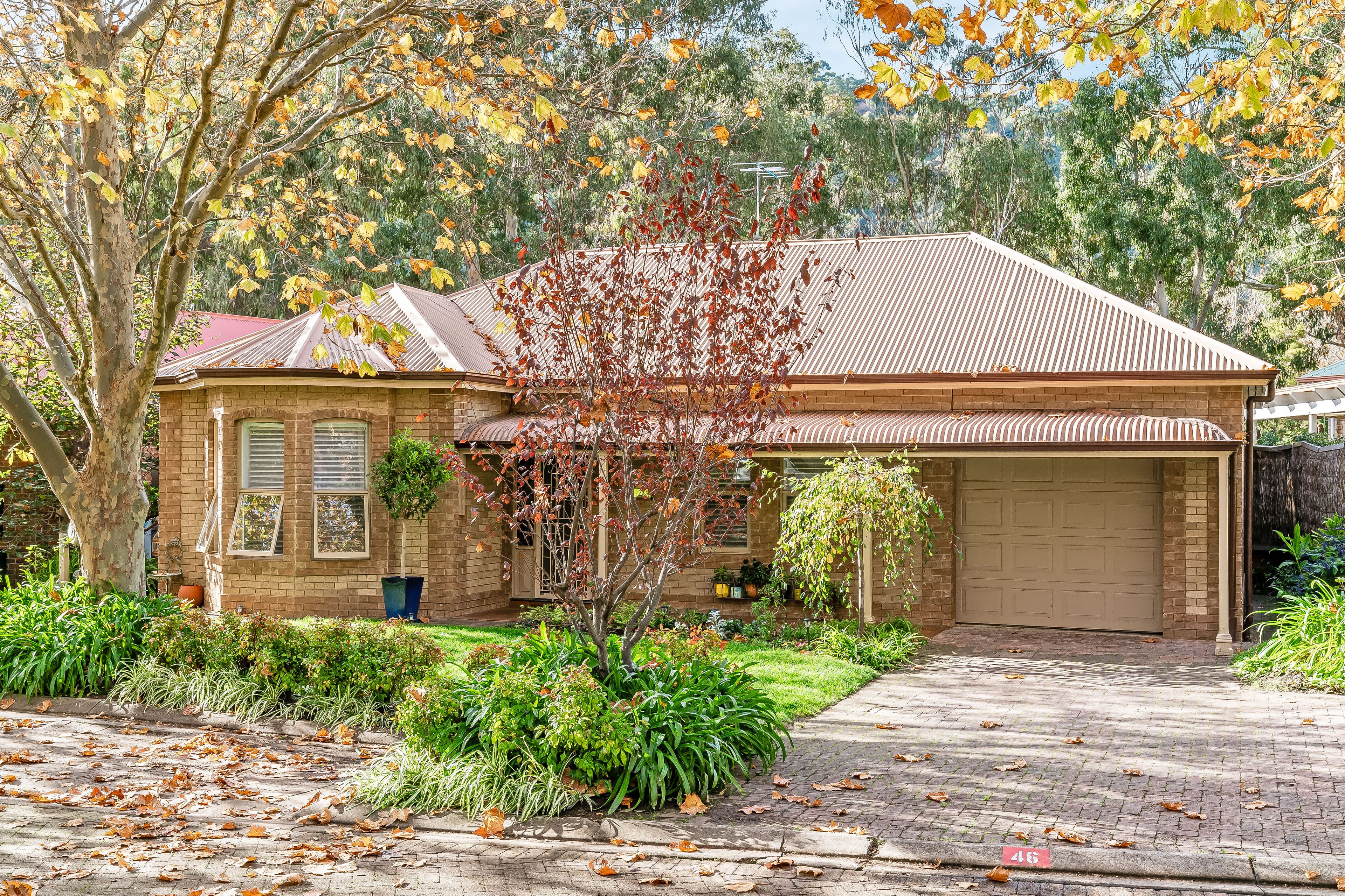 5 Mount Barker Road, Urrbrae SA 5064