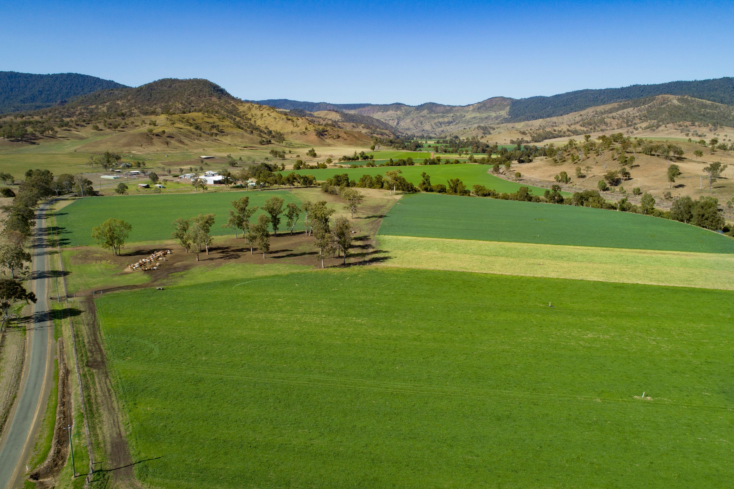 "Glenapp" 1179 Running Creek Road, Running Creek, QLD 4287 Sold