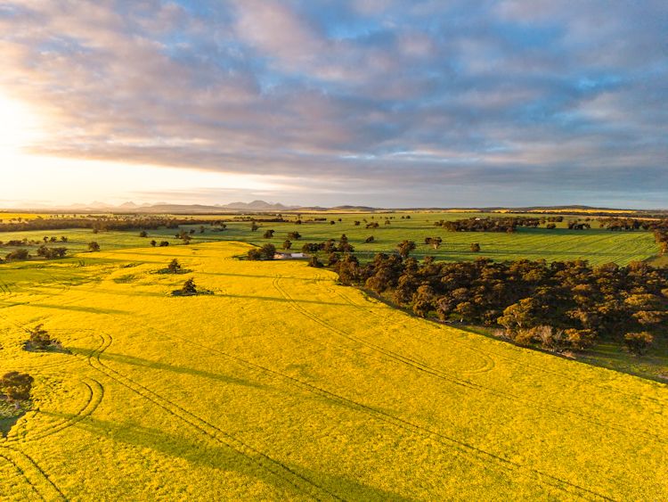 "Wareenup" Newton Road — photo from Ray White Rural (WA)