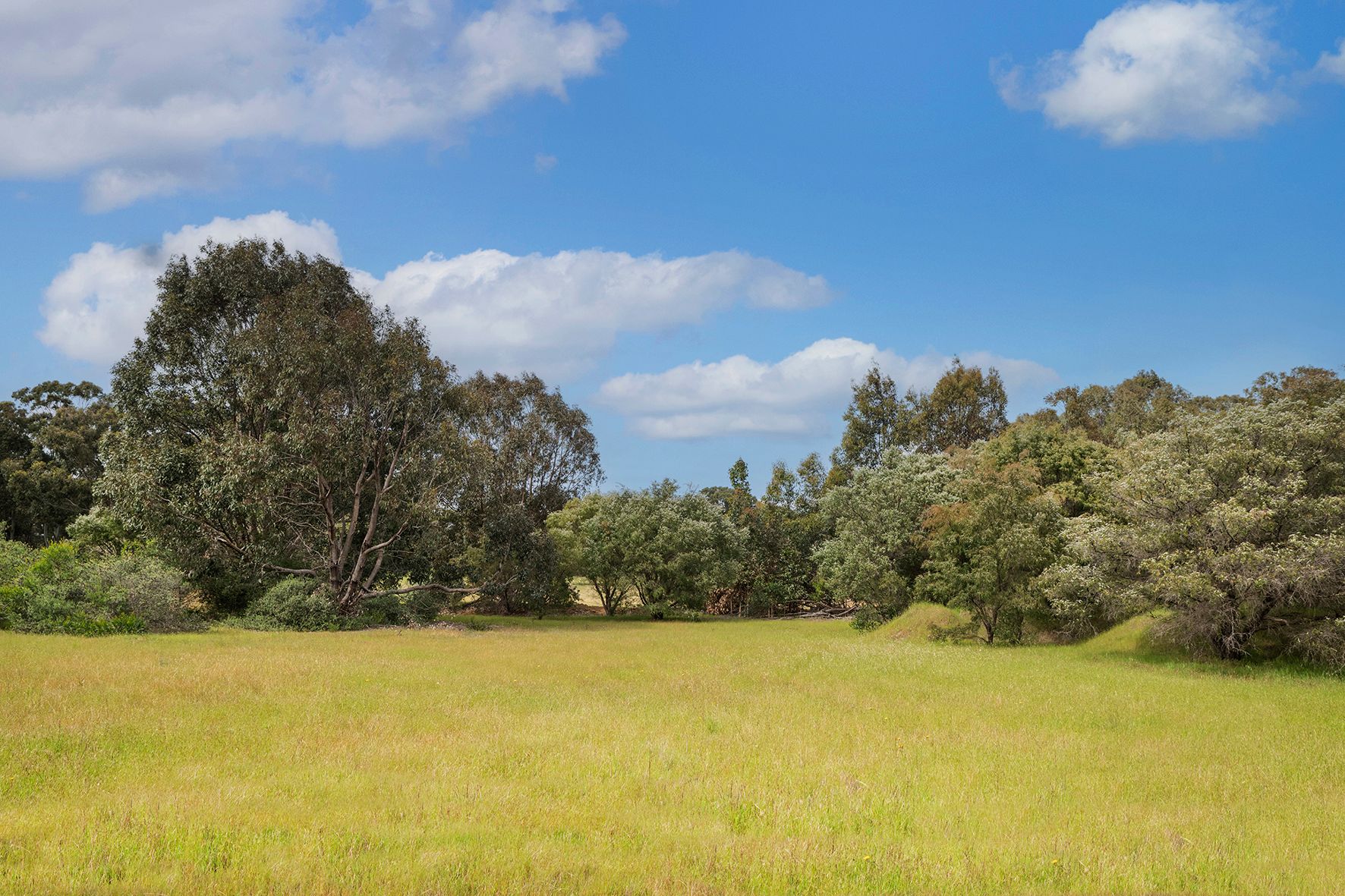 Lot 44 Lukes Road — photo 4 of 11
