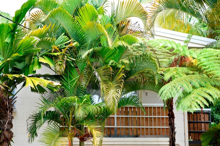 3/3 Donkin Lane, Mission Beach, QLD 4852