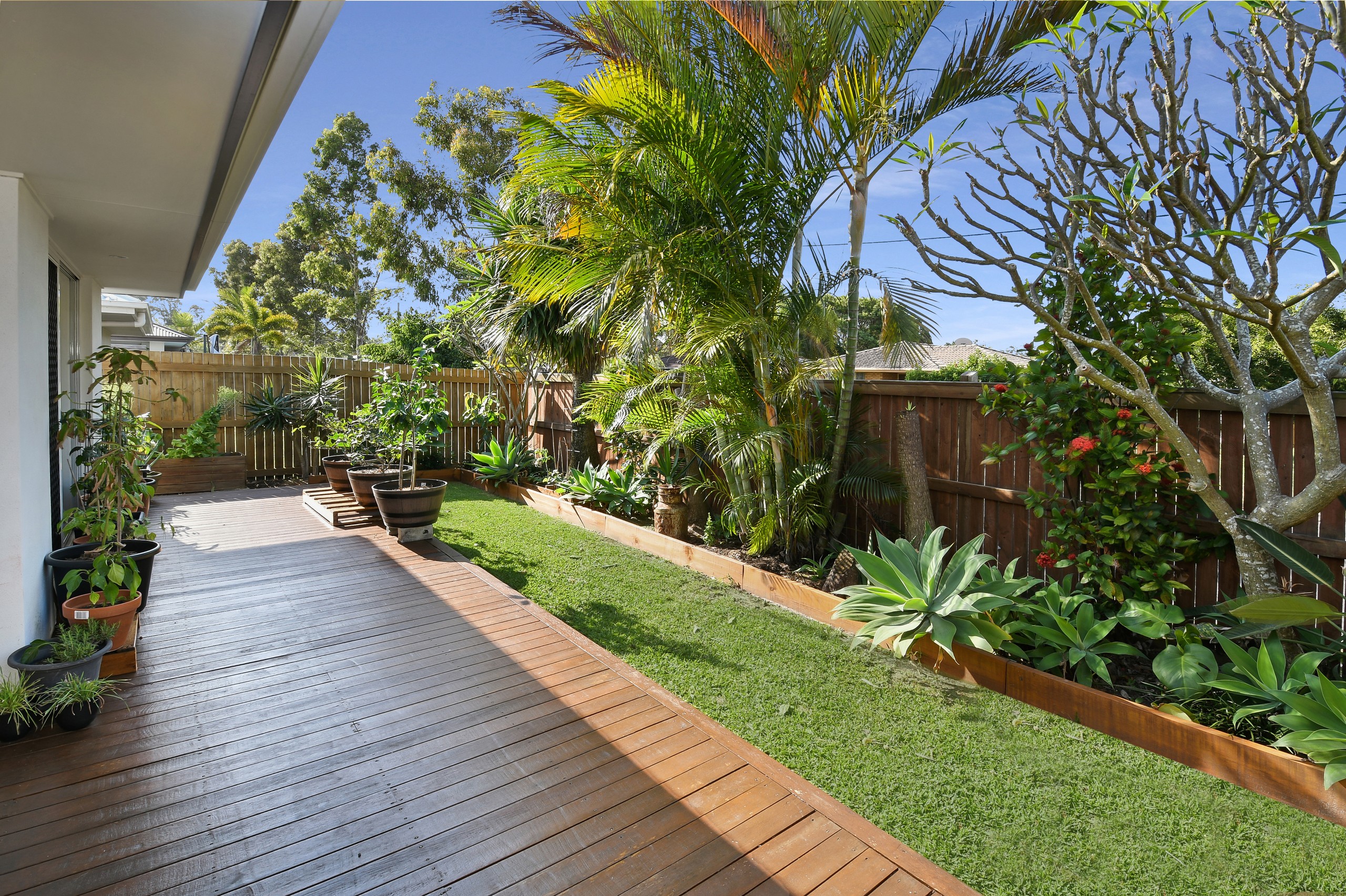 51 Carlisle Circuit, Mountain Creek, QLD 4557