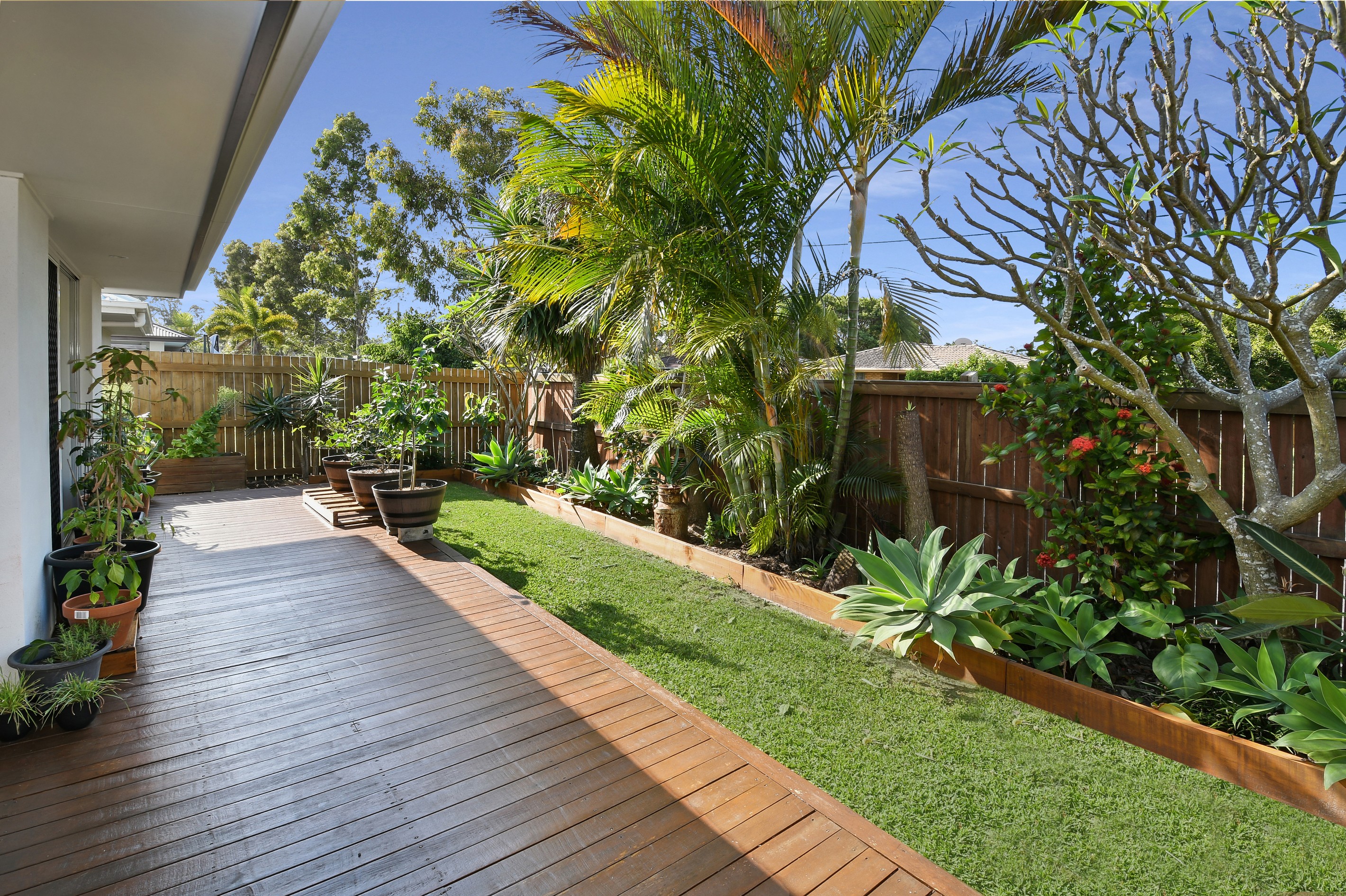 51 Carlisle Circuit, Mountain Creek, QLD 4557