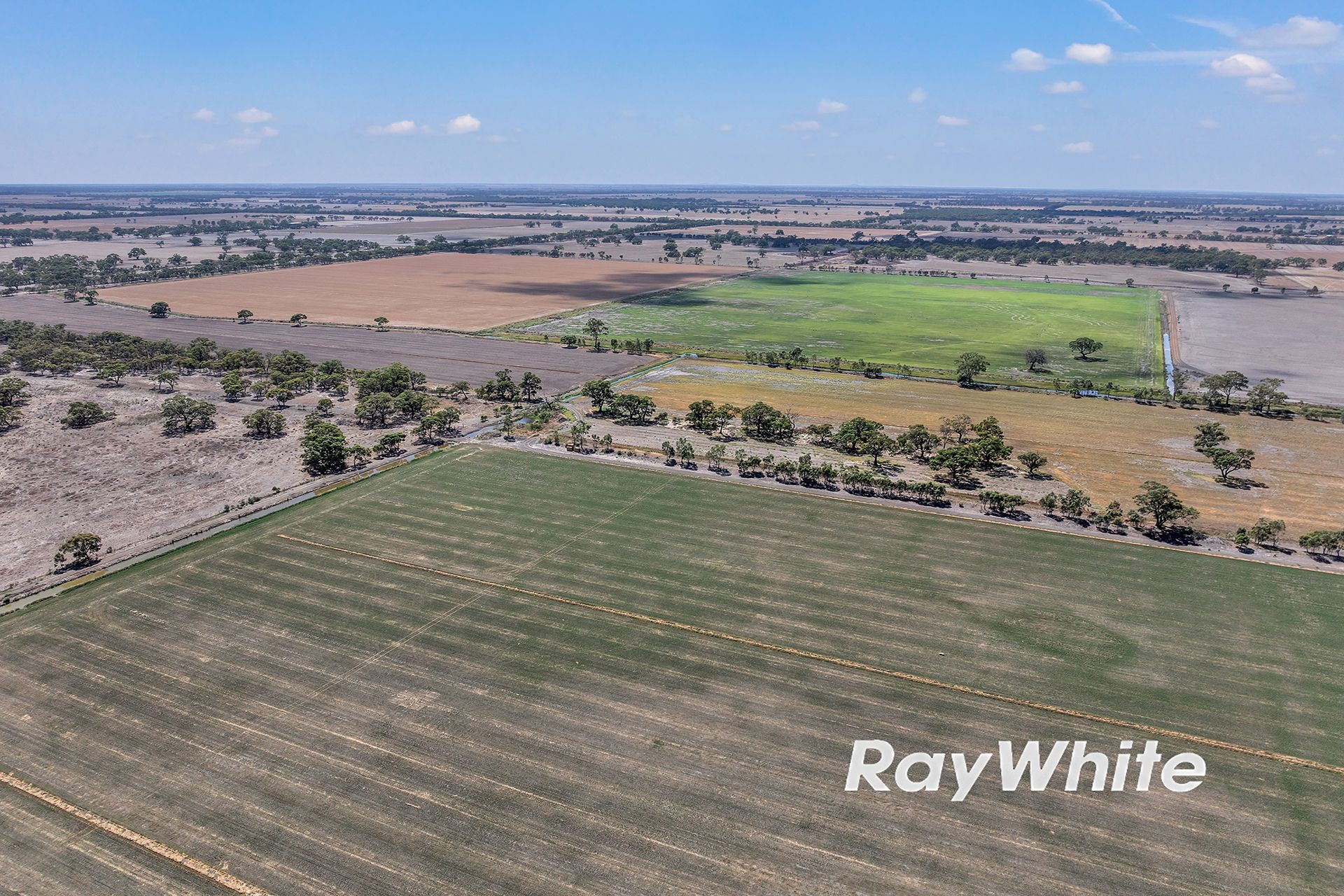 79 Boort-Yando Road — photo 12 of 30