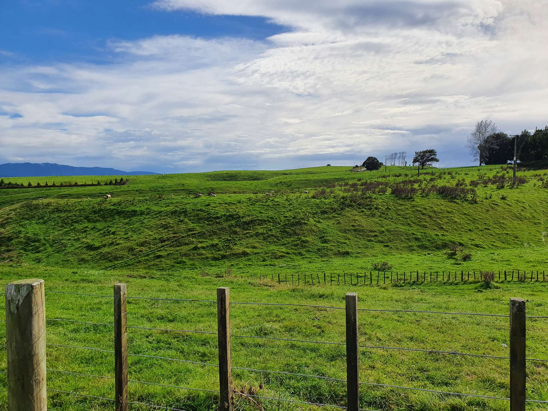 1204 Rangiuru Road photo 15