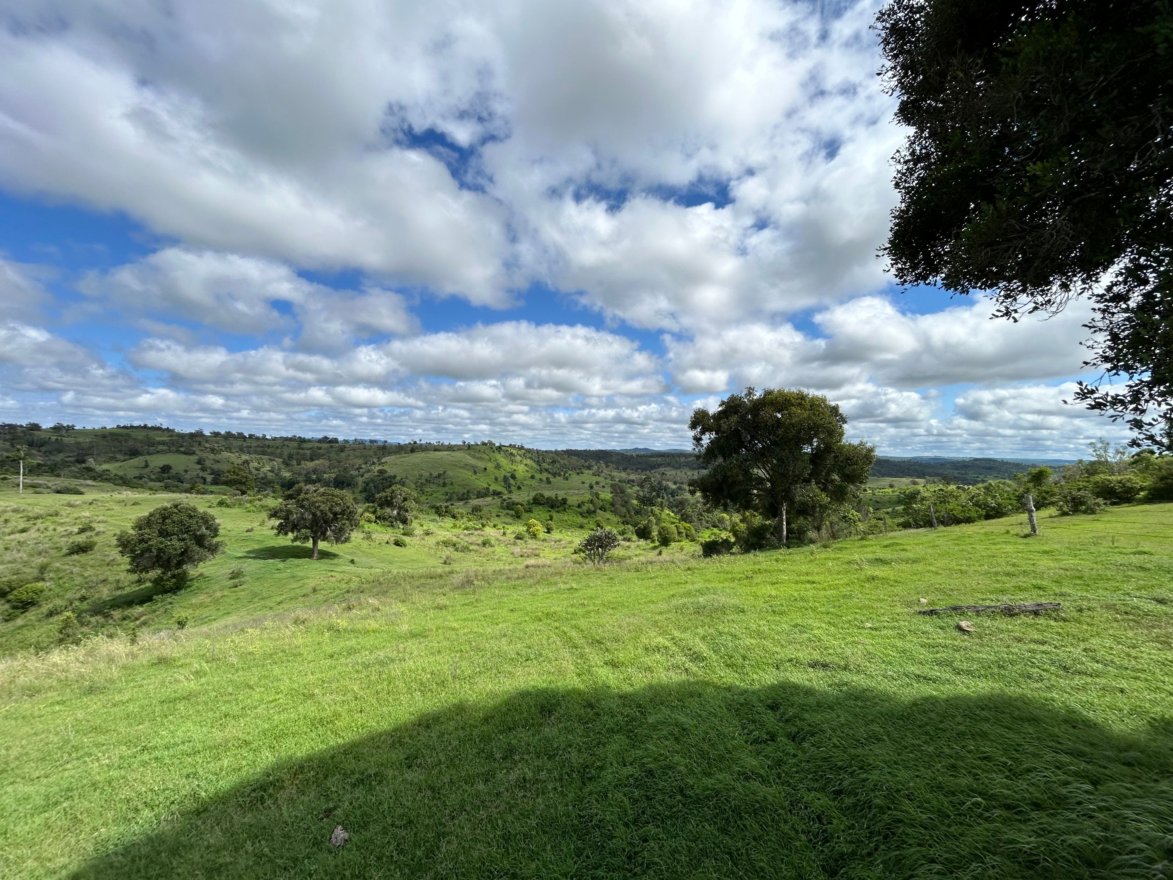 0 Dalby Cooyar Road, Nutgrove, QLD 4352 Rural Mixed Farming