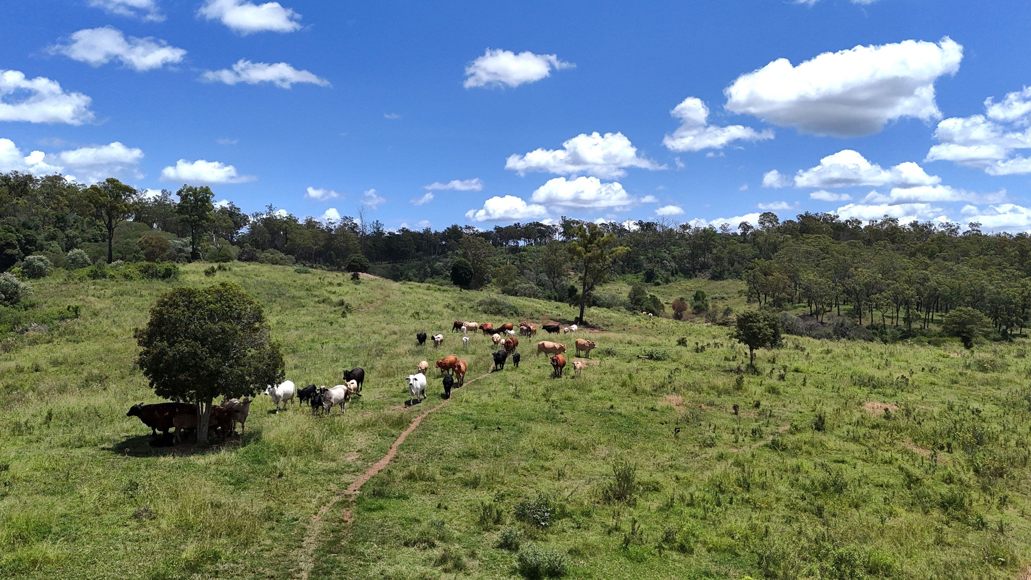 'Sunrise' Mclaughlans Road, Monto, QLD 4630