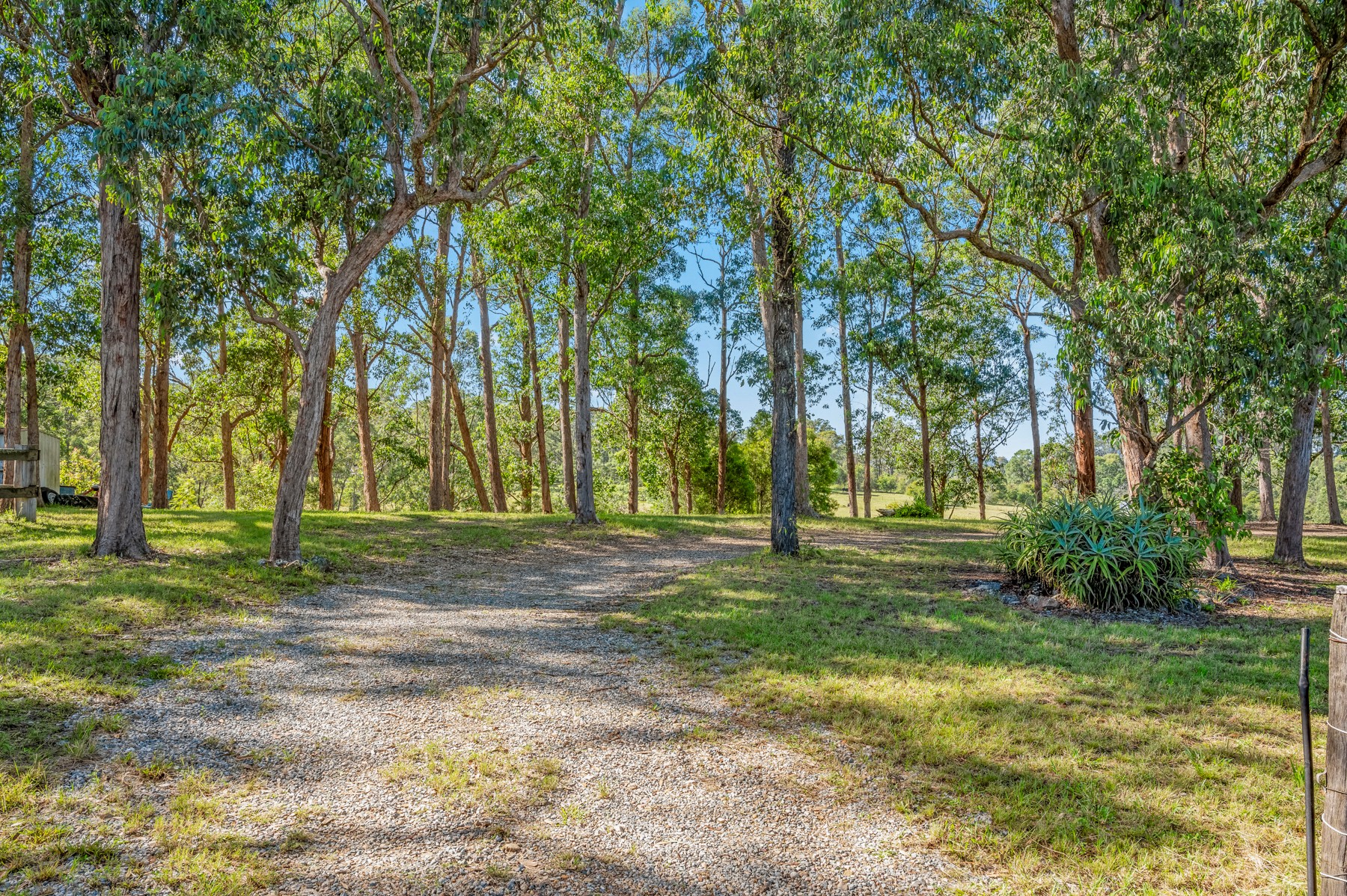 73 Terreel Road, Wards River, NSW 2422