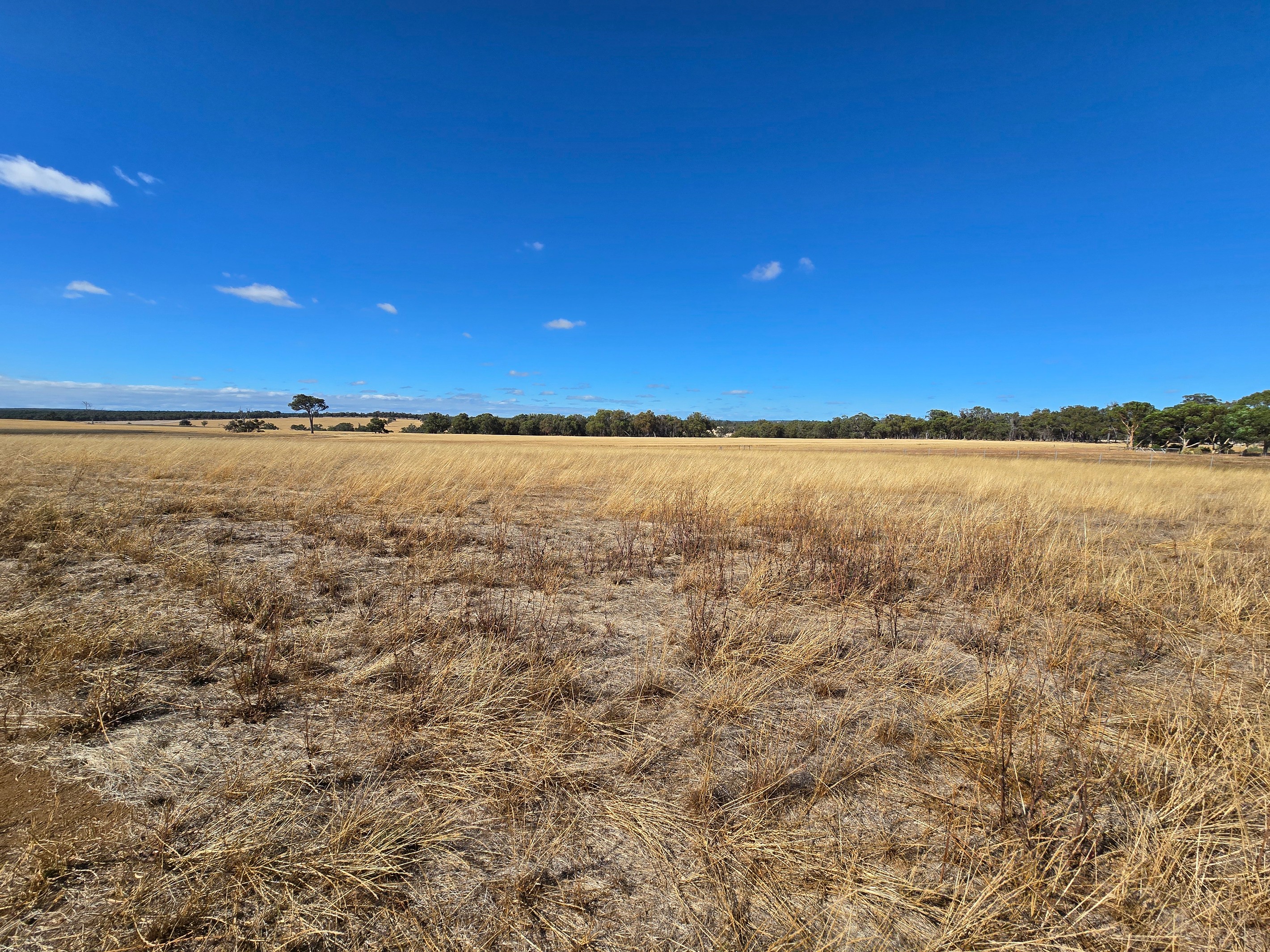 Lot 69 36 Shepherd Road, Frankland River, WA 6396