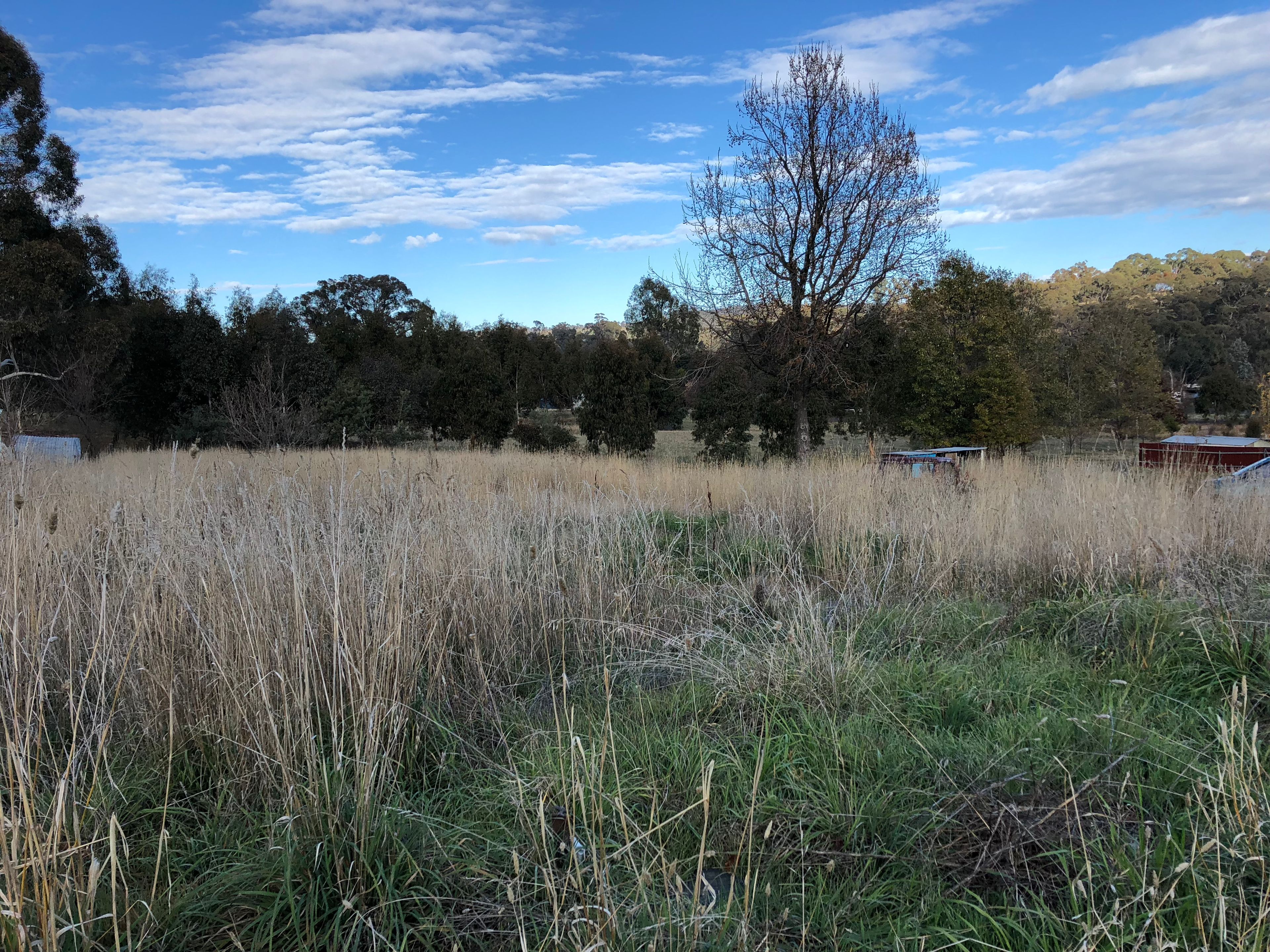 28 Clara Street, Tumbarumba NSW 2653