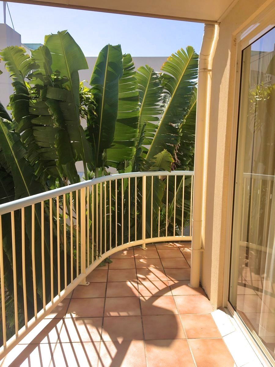 5/155 Bradman Avenue, Maroochydore, QLD 4558