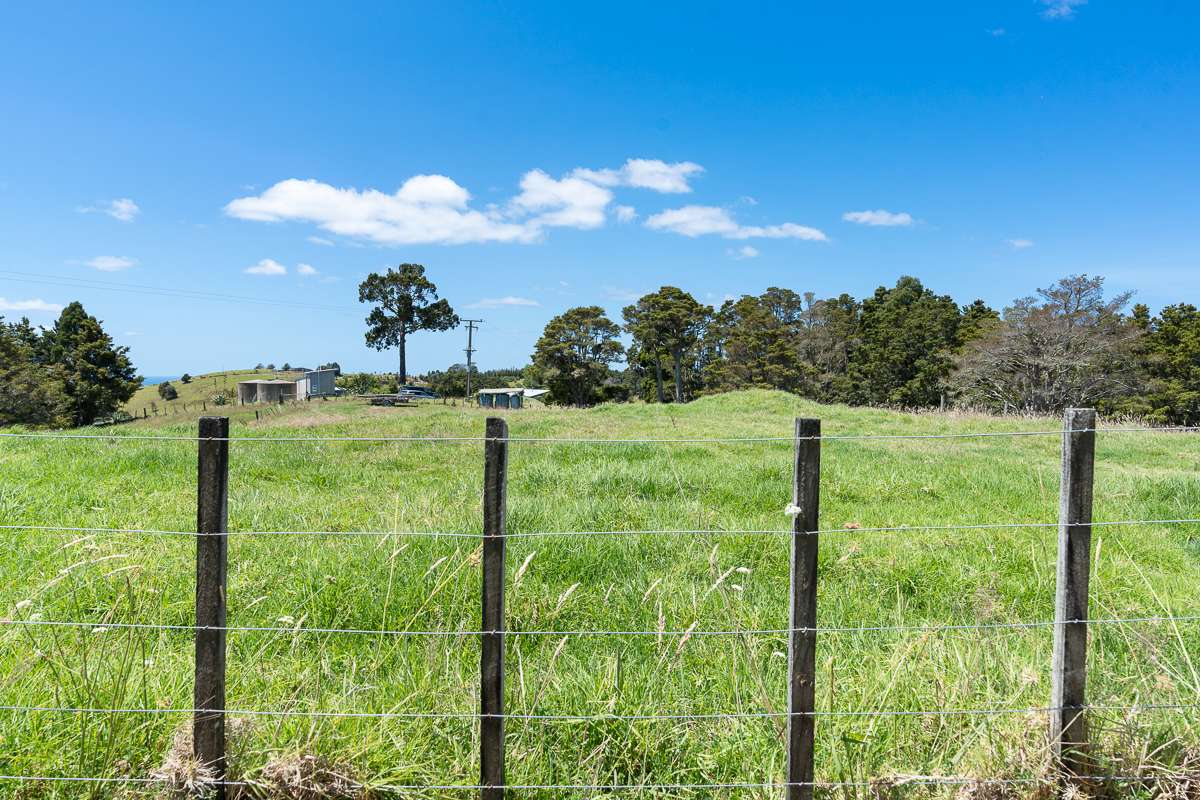 155 Te Toiroa Road photo 30