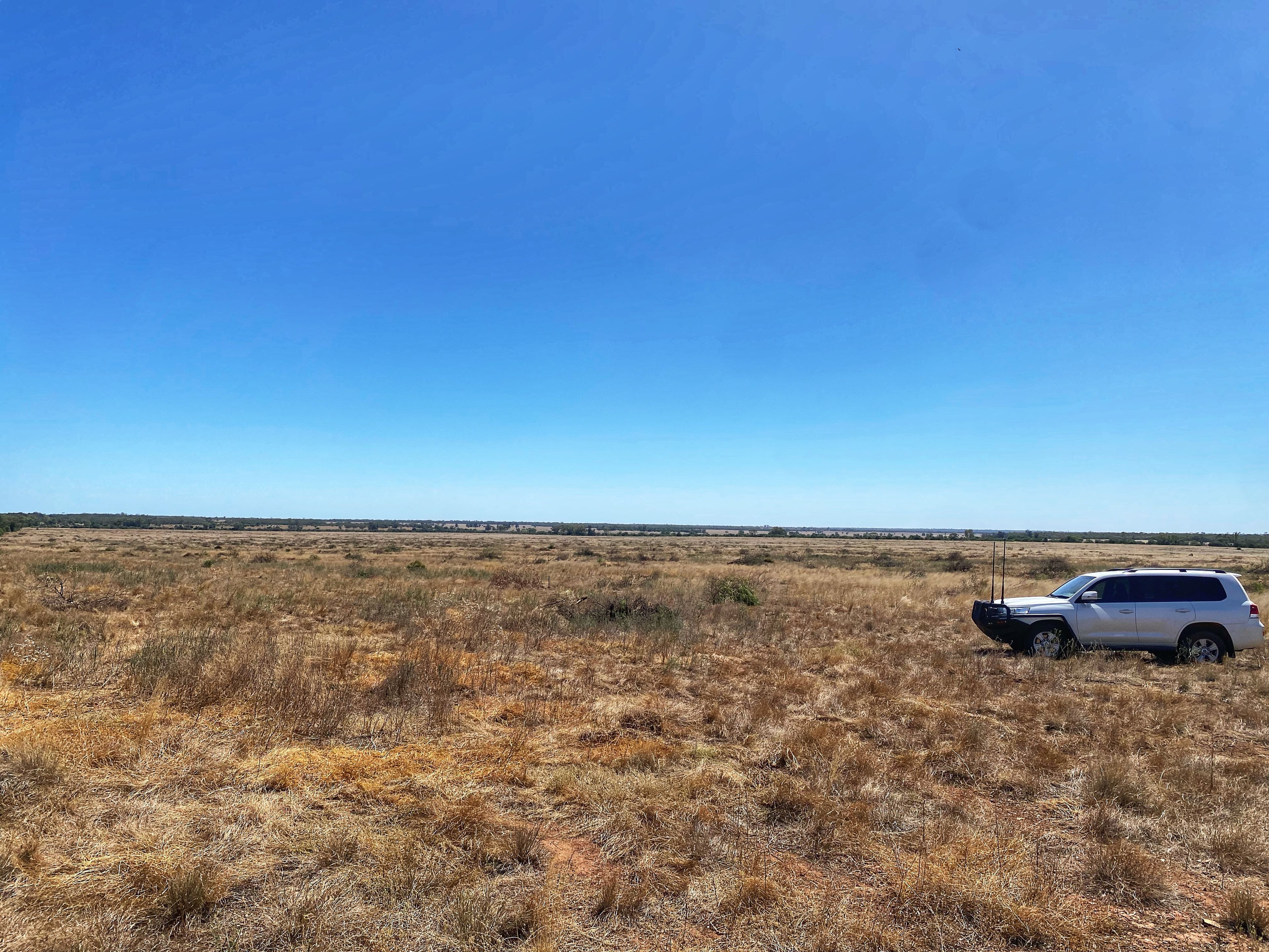 Part Glenroy Peisley Road, Nyngan, NSW 2825