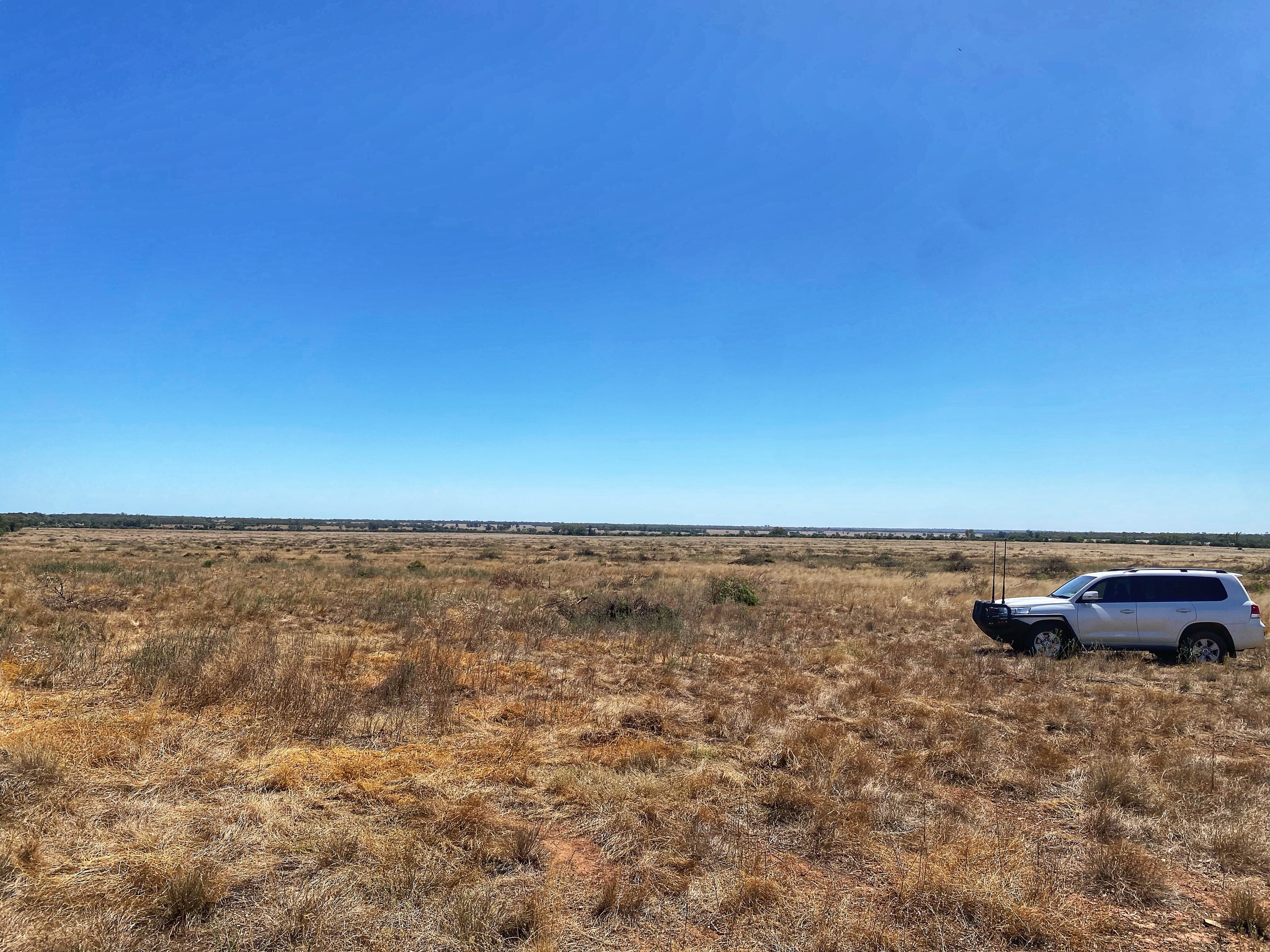 Part Glenroy Peisley Road, Nyngan, NSW 2825