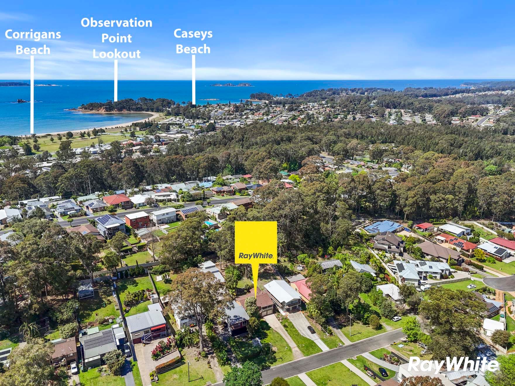 19 Berrima Street, Catalina, NSW 2536
